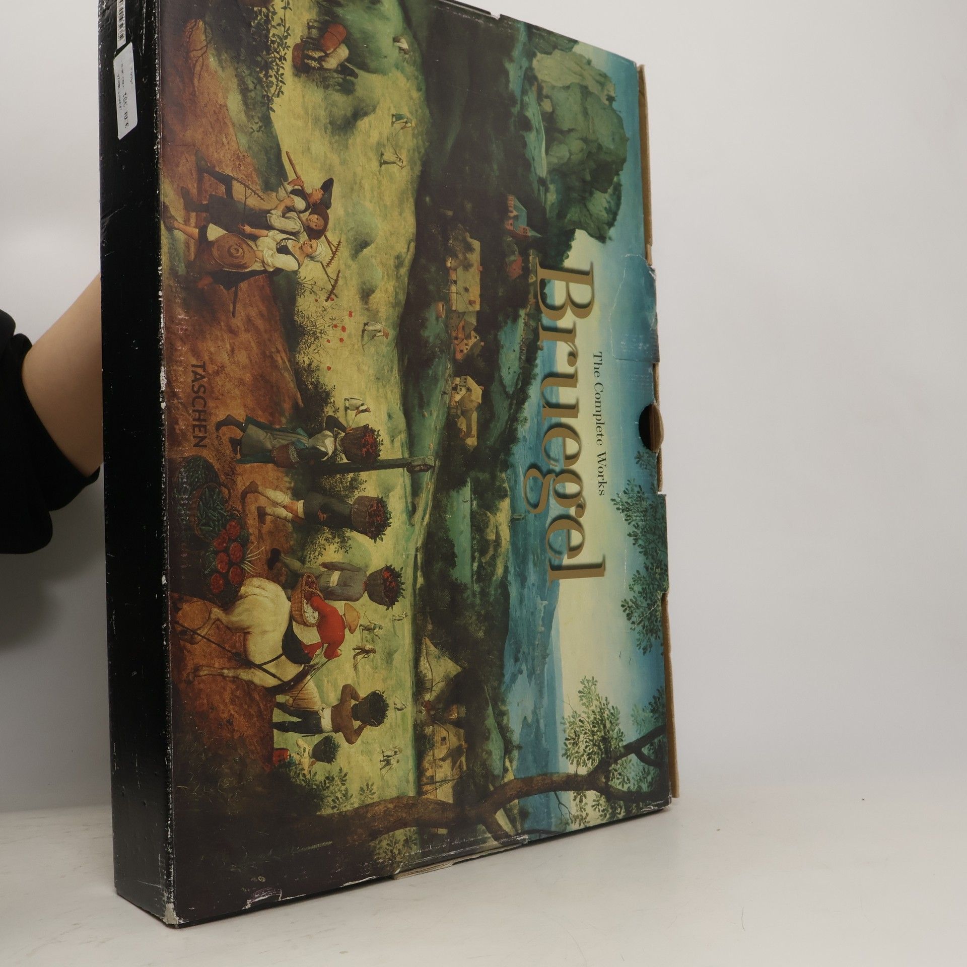 Jürgen Müller Pieter Bruegel