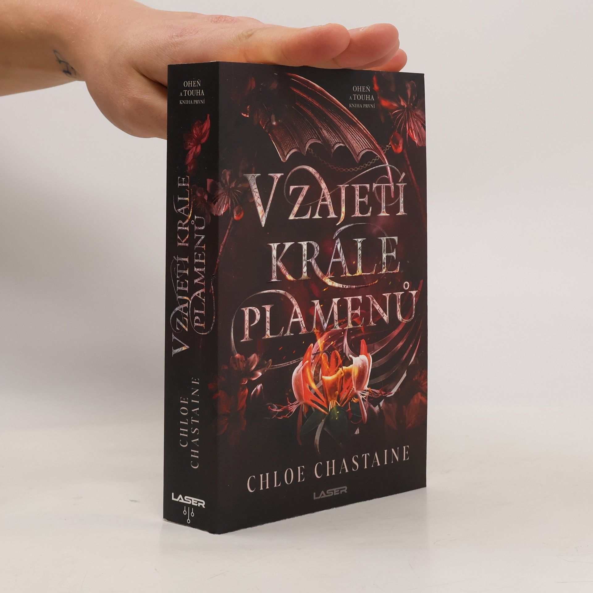 V zajetí krále plamenů