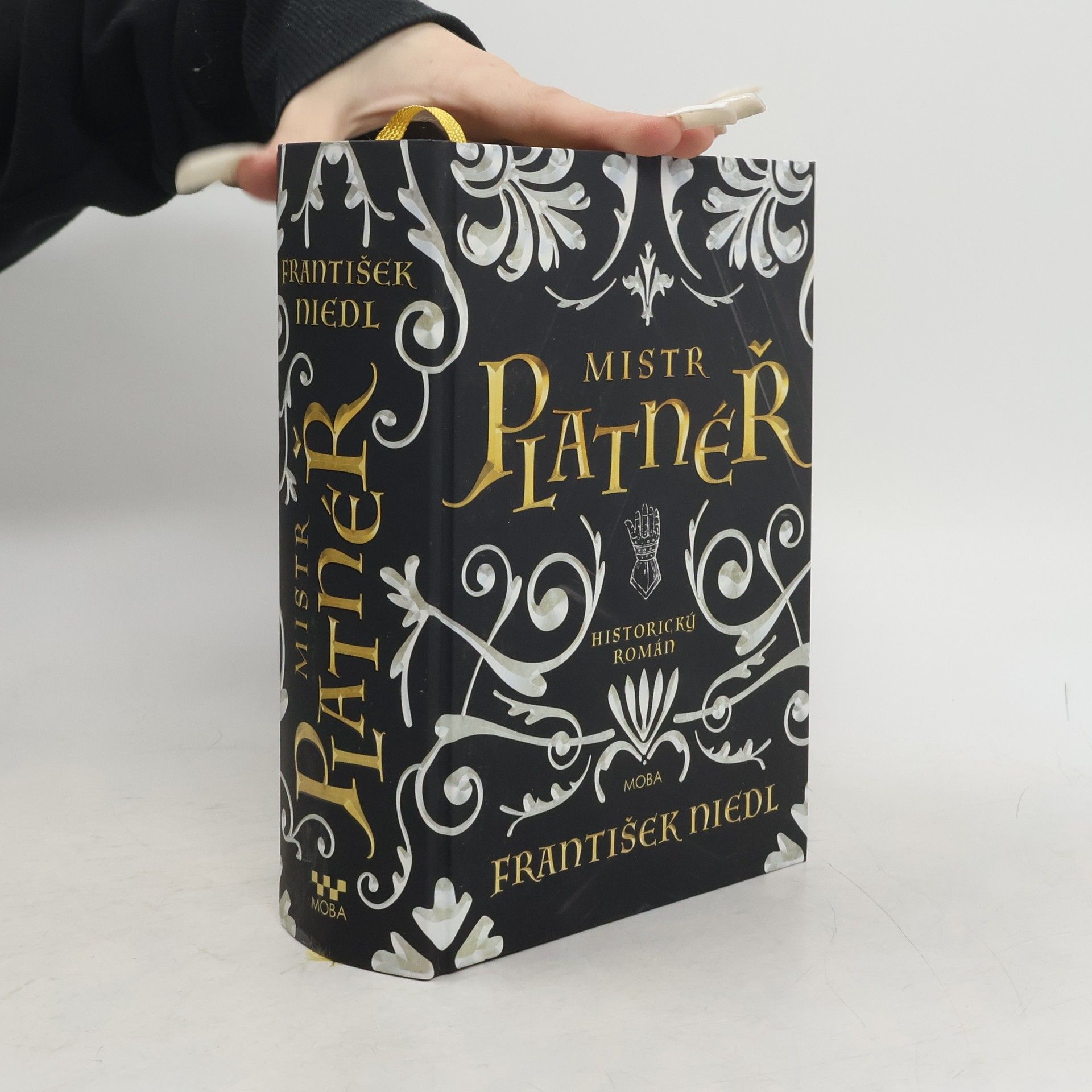 František Niedl Mistr platnéř