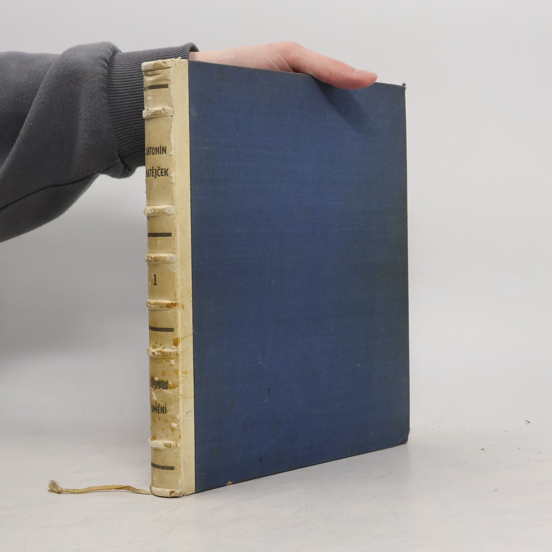 Antonín Matějček Dějepis umění. Díl první. Umění doby předdějinné a starého věku