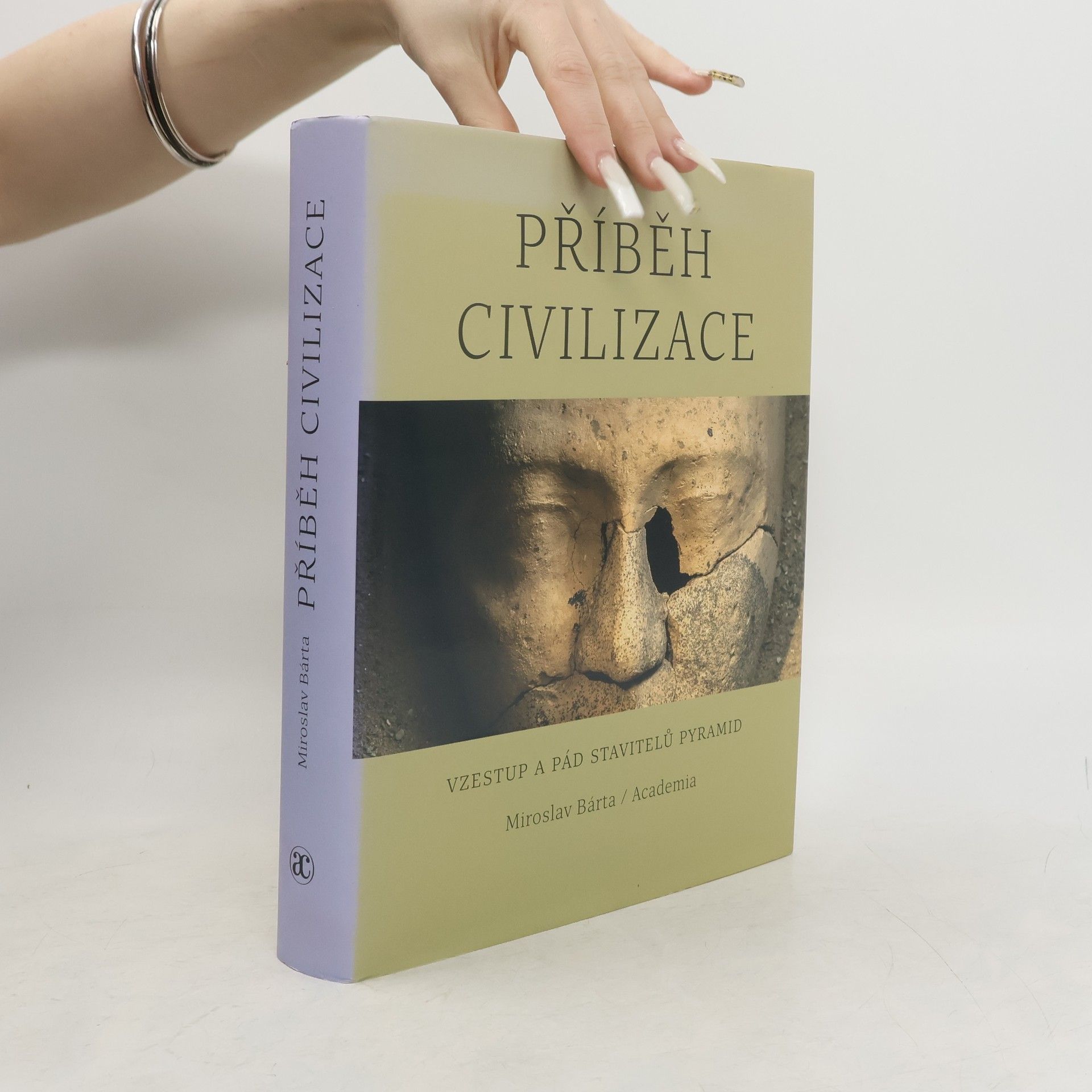 Miroslav Bárta Příběh civilizace - Vzestup a pád stavitelů pyramid