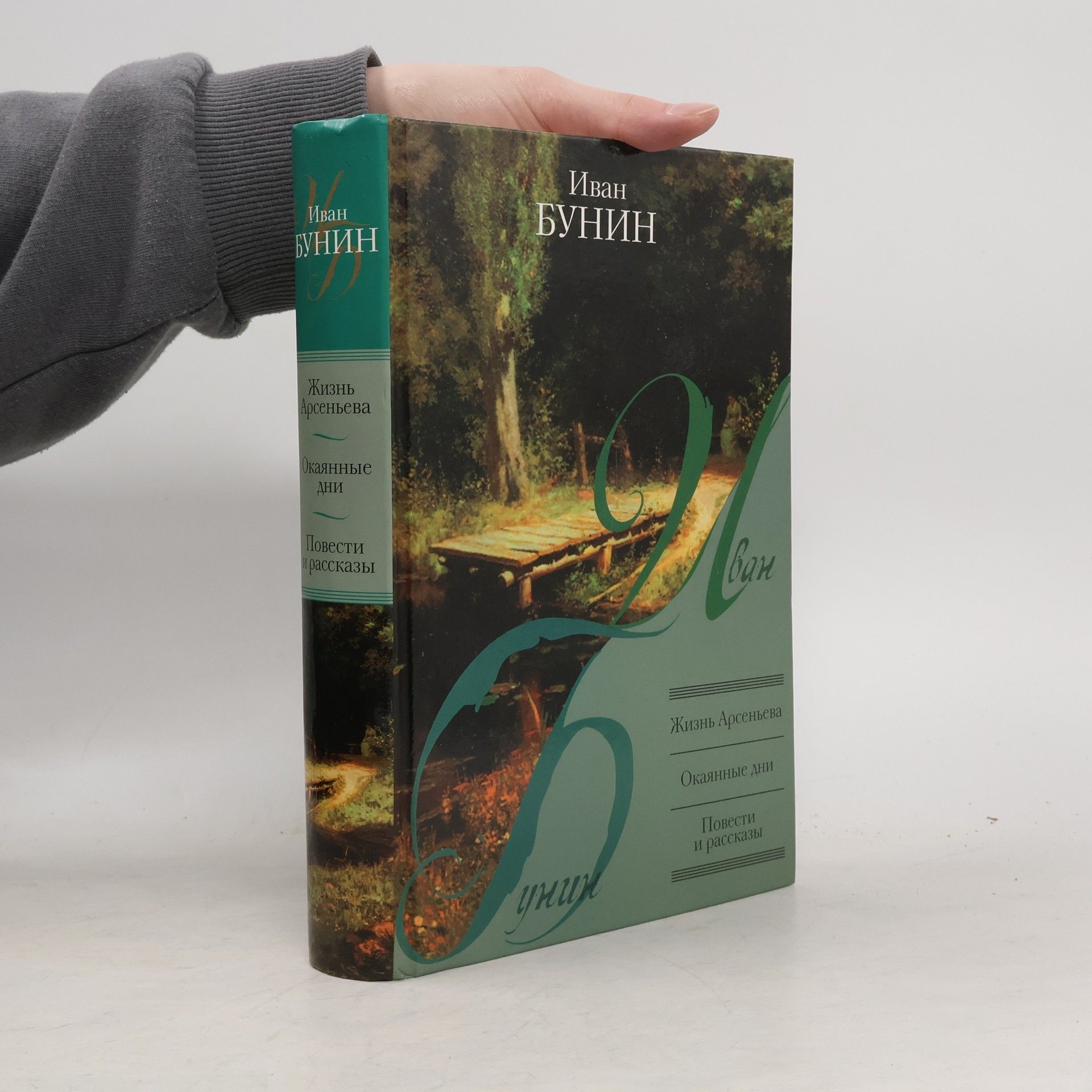 Ivan Alexejevič Bunin Жизнь Арсеньева