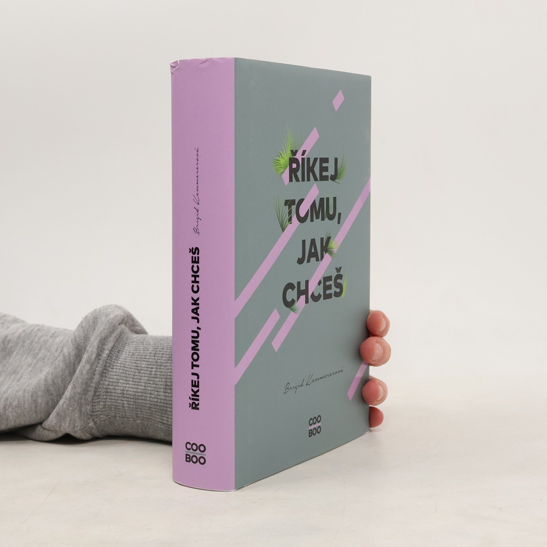 Brigid Kemmerer Říkej tomu, jak chceš