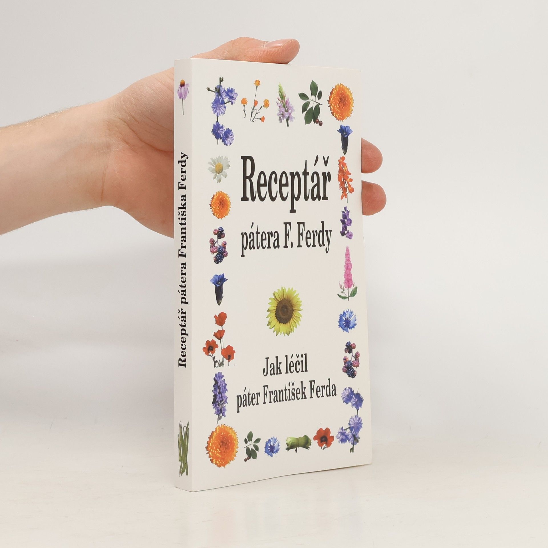 Kolektiv autorů Receptář pátera Františka Ferdy