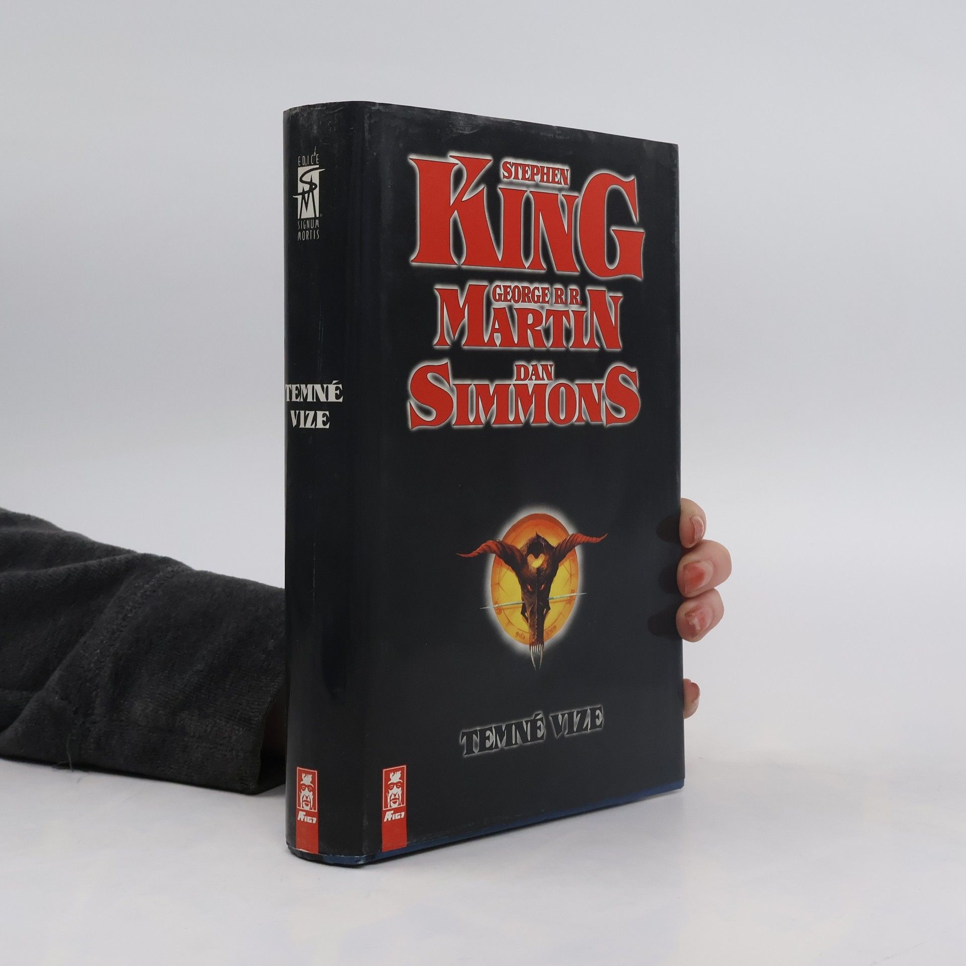 Stephen King Temné vize