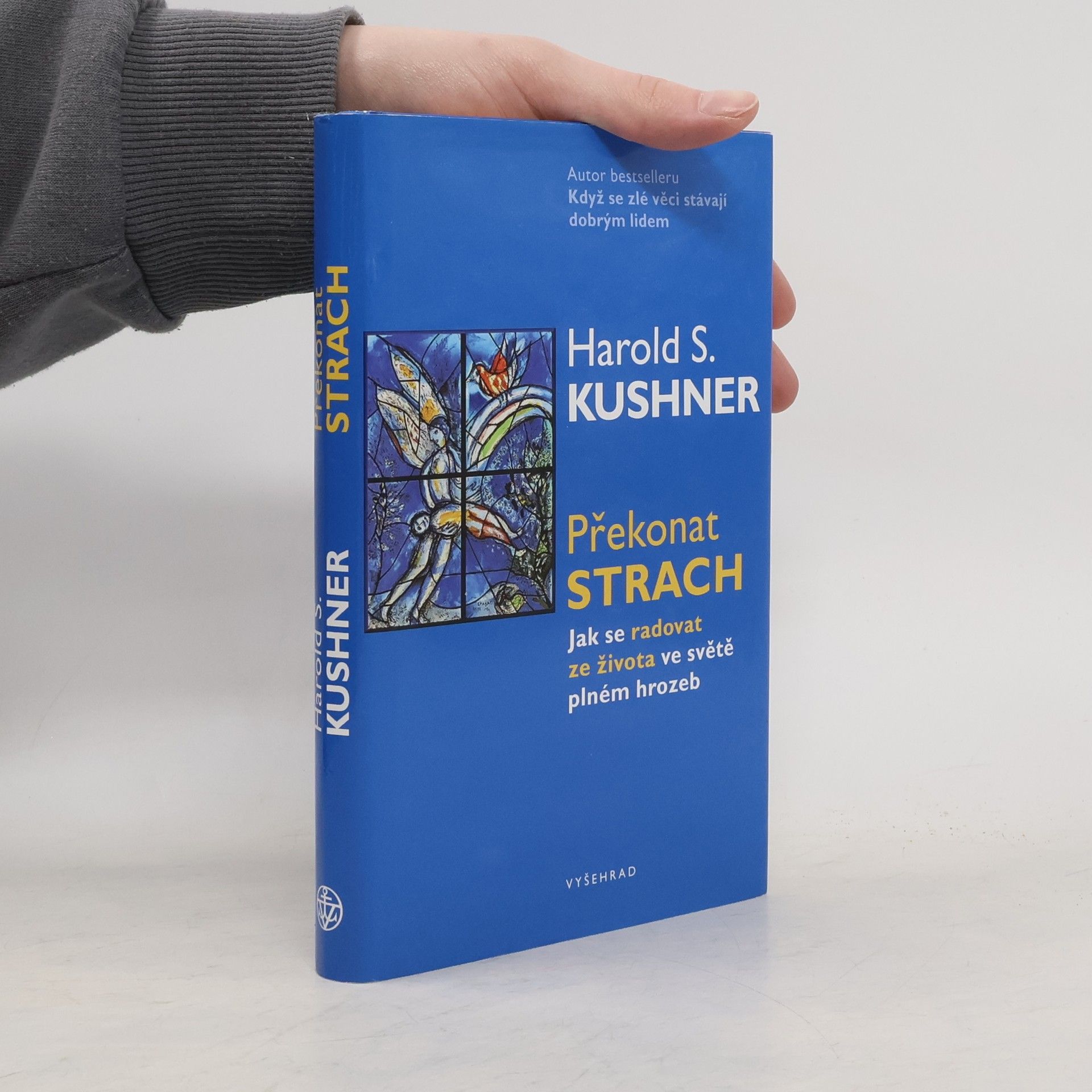Harold S. Kushner Překonat strach