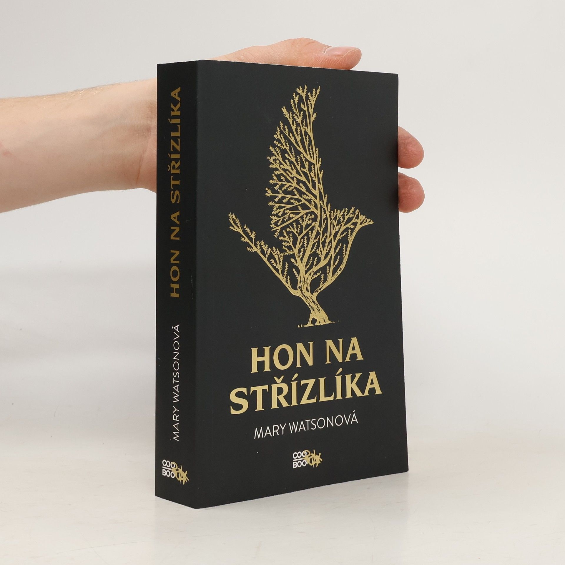 Mary Watson Hon na střízlíka