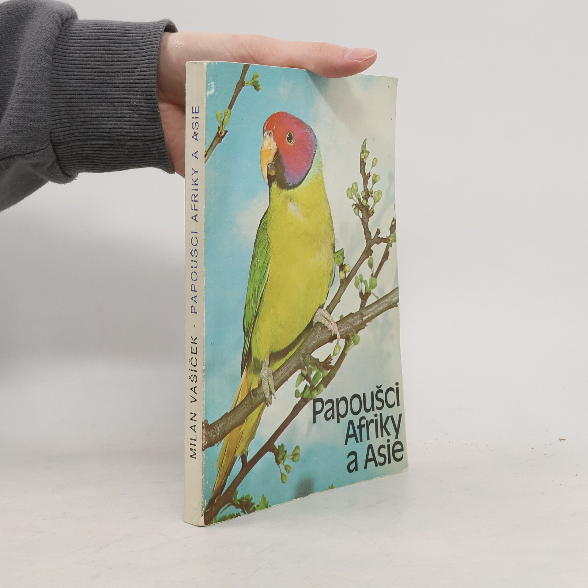 Papoušci Afriky a Asie