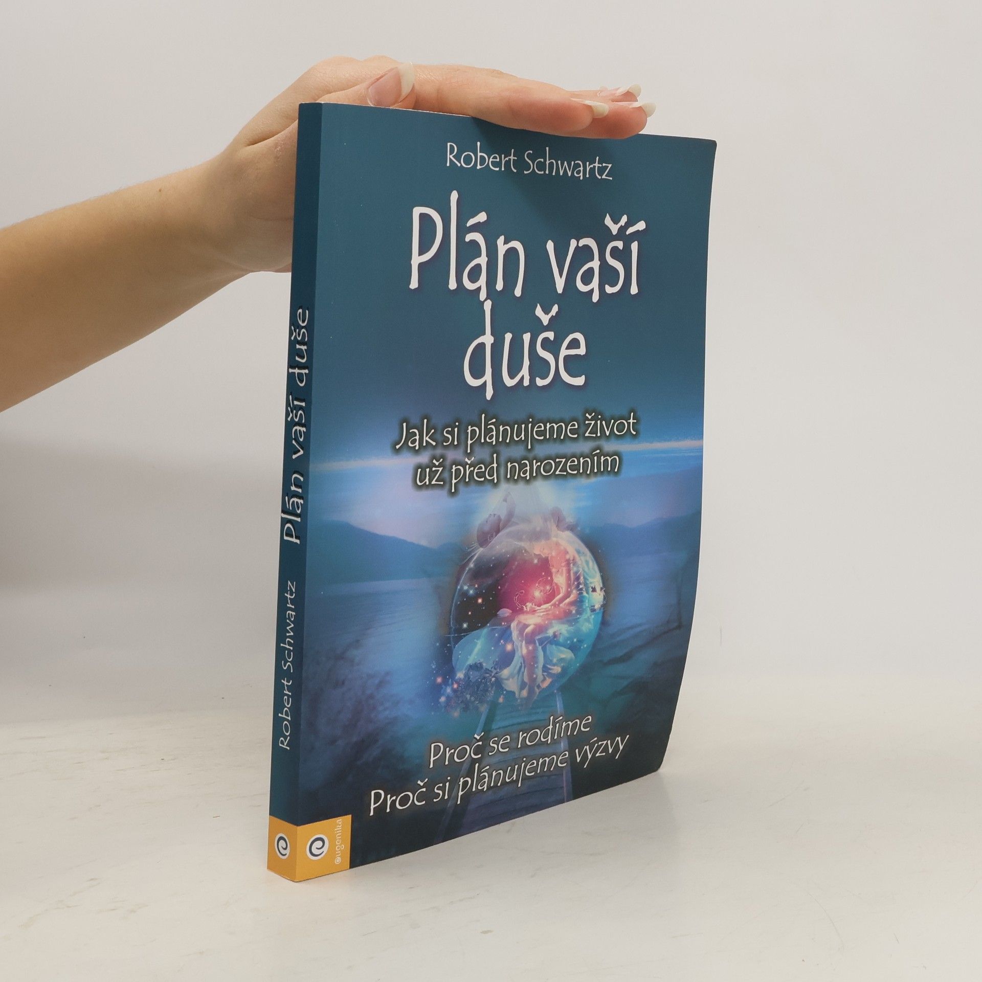 Plán vaší duše. Jak si plánujeme život už před narozením