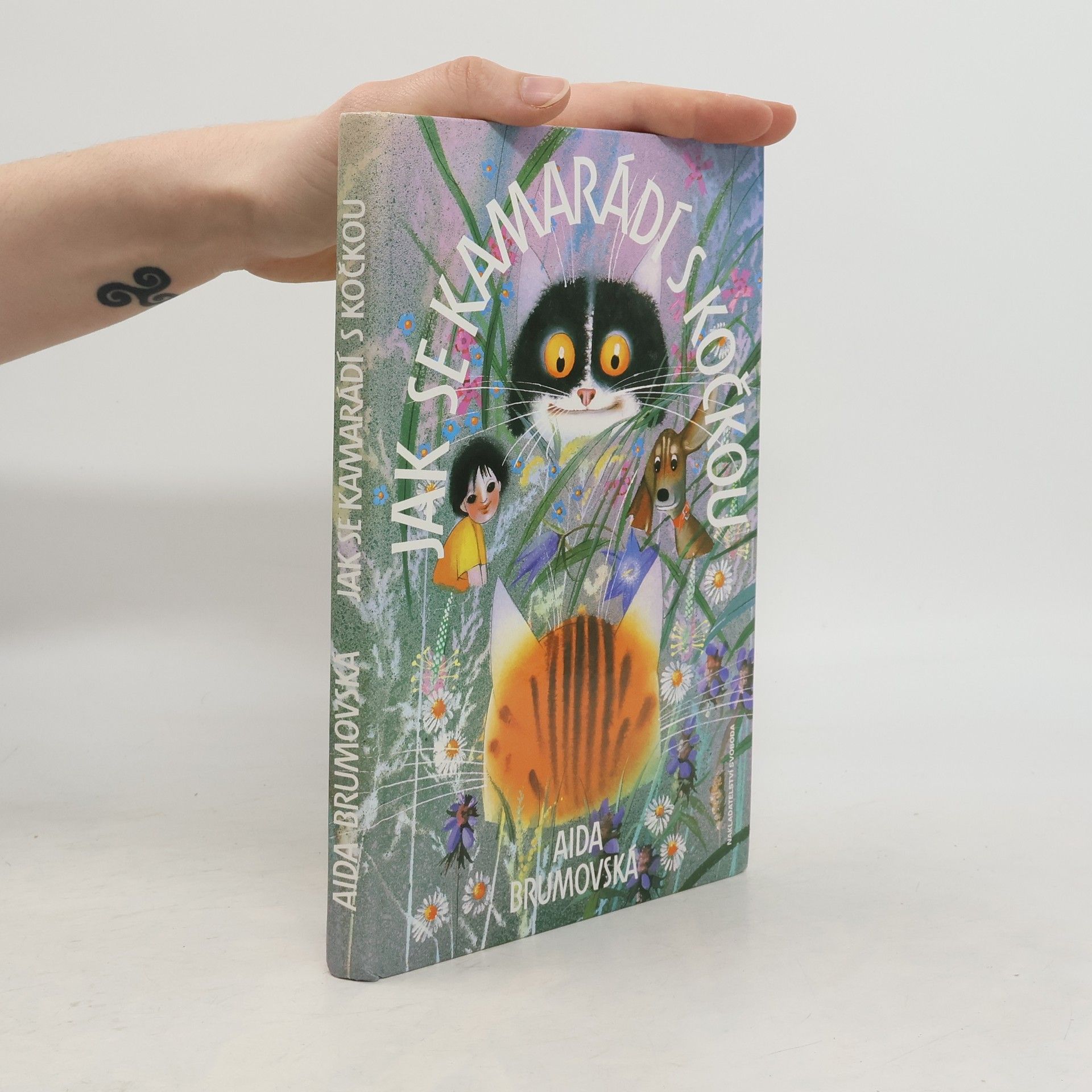 Aida Brumovská Jak se kamarádí s kočkou