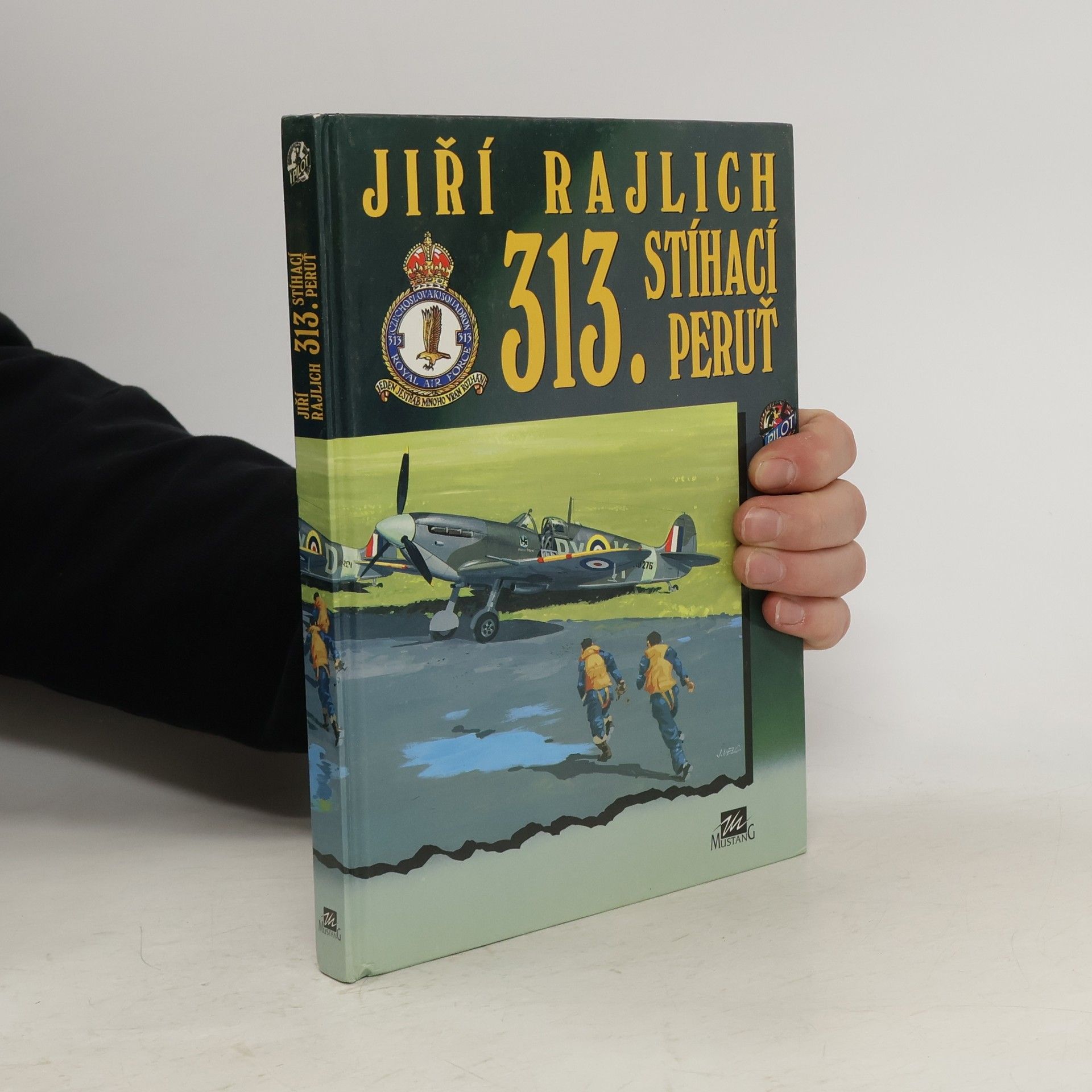Jiří Rajlich 313. stíhací peruť