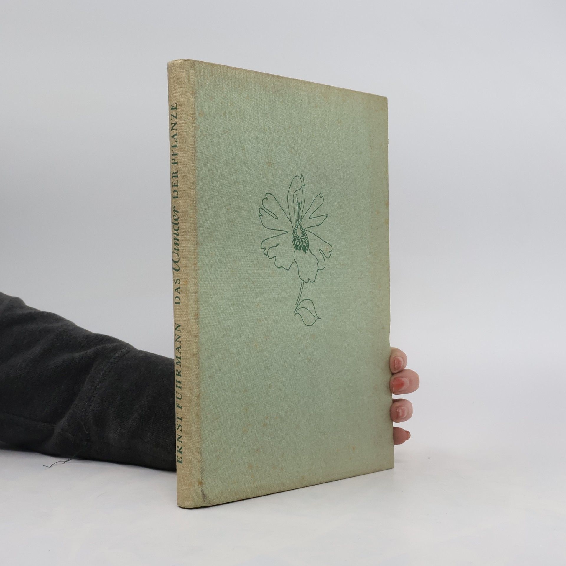 Ernst Fuhrmann Das Wunder der Pflanze