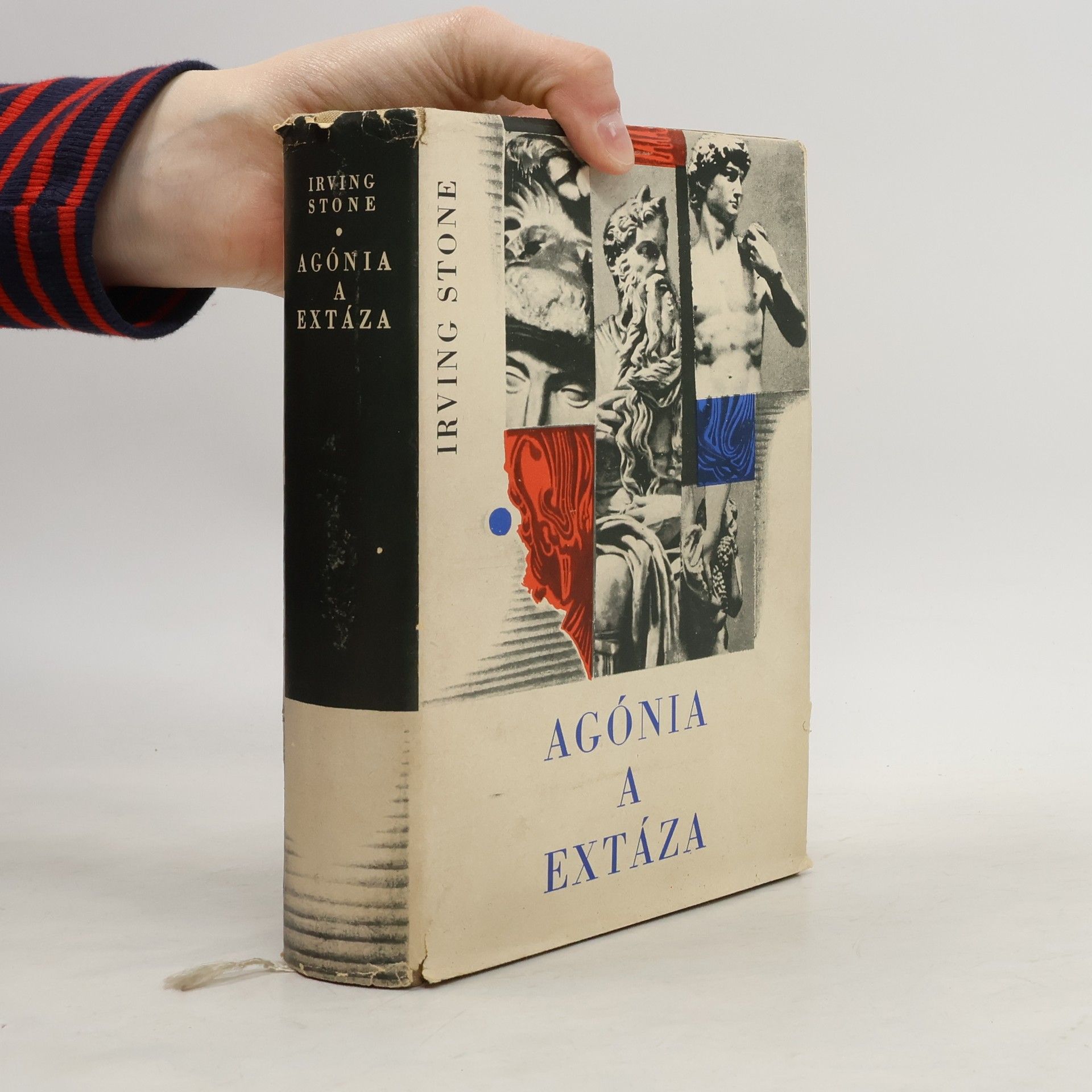 Irving Stone Agónia a extáza