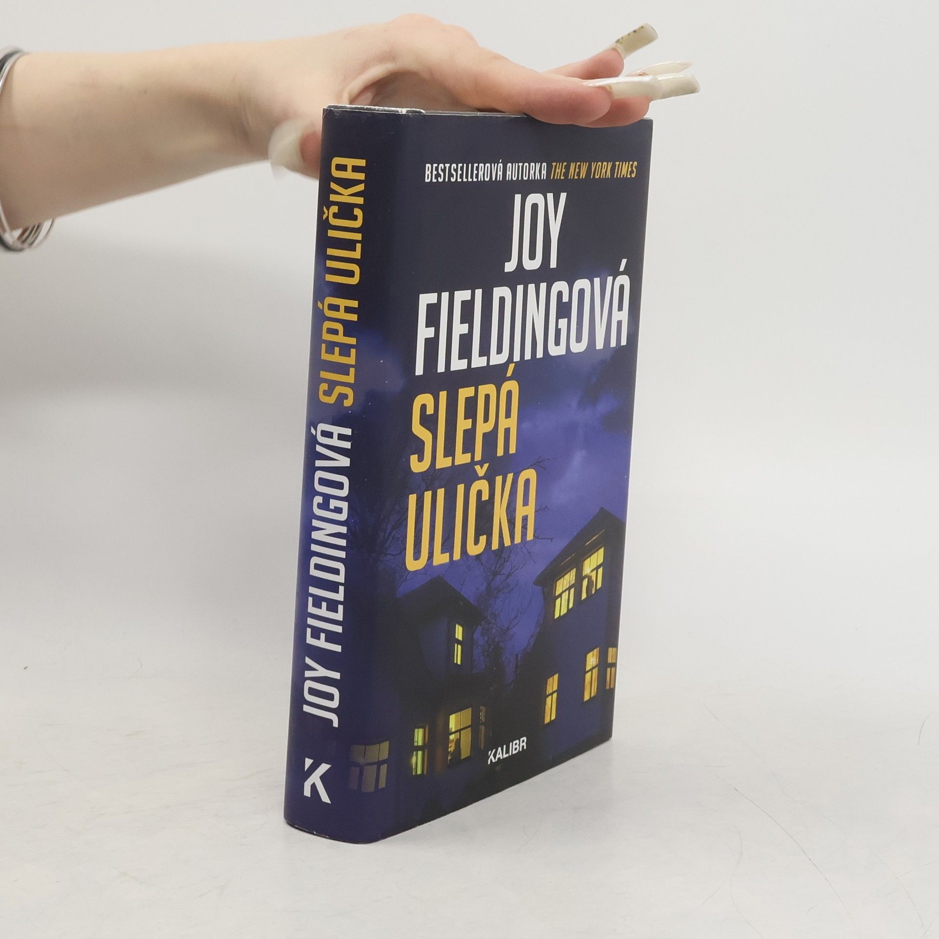 Joy Fielding Slepá ulička