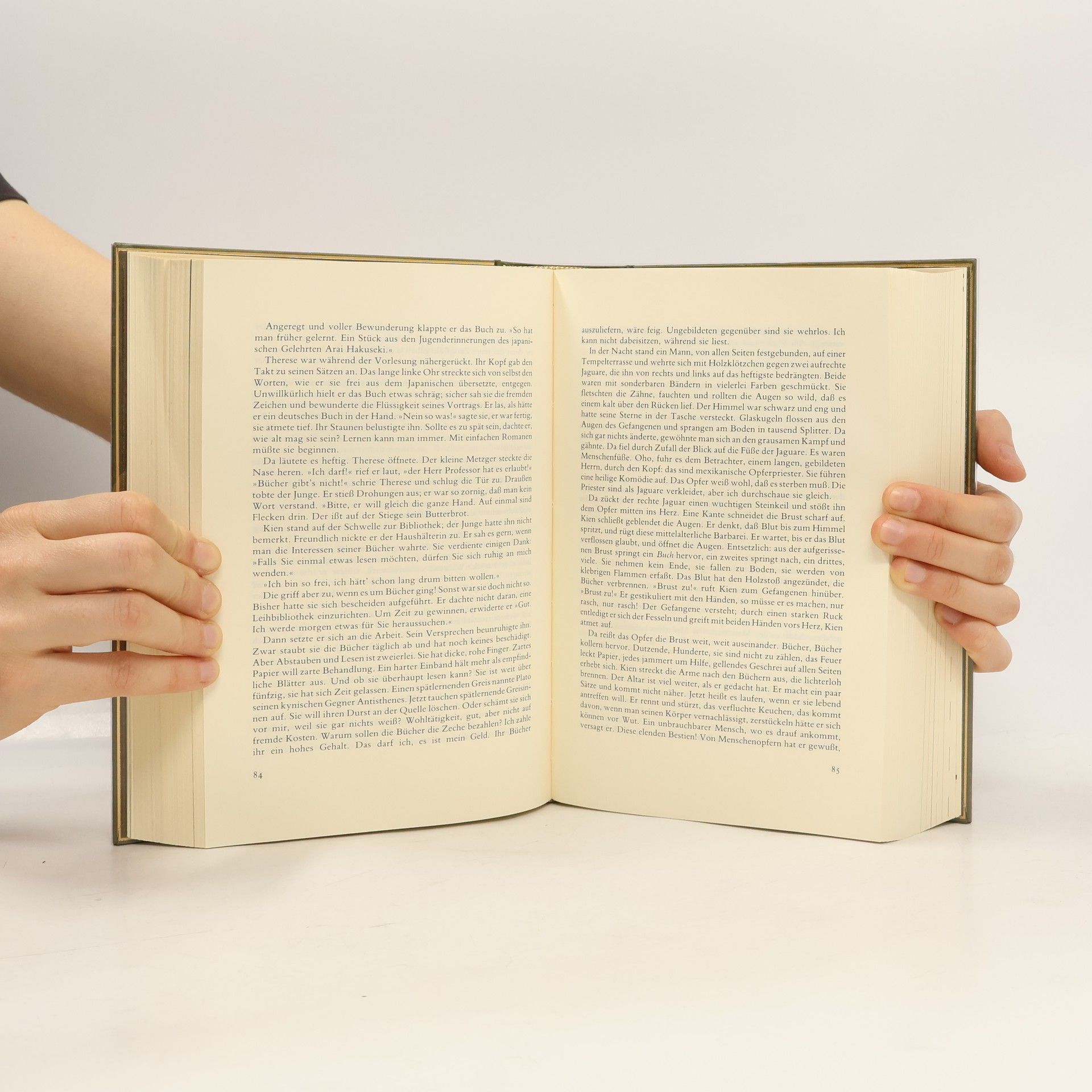 Auteurscollectief Nobelpreis für Literatur 1980-1982. Milosz, Canetti, Márquez