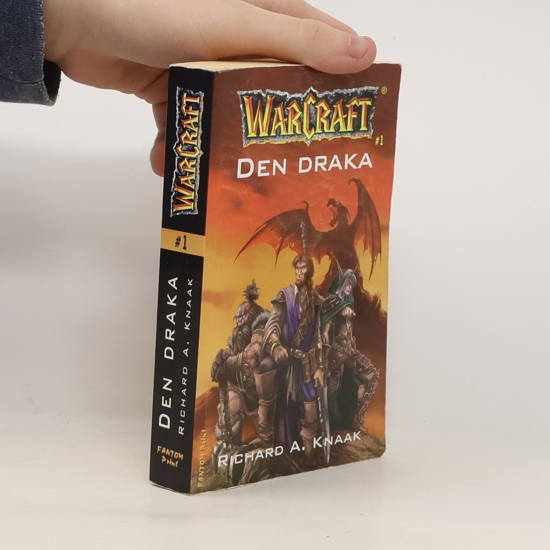 Richard A. Knaak WarCraft. Den draka