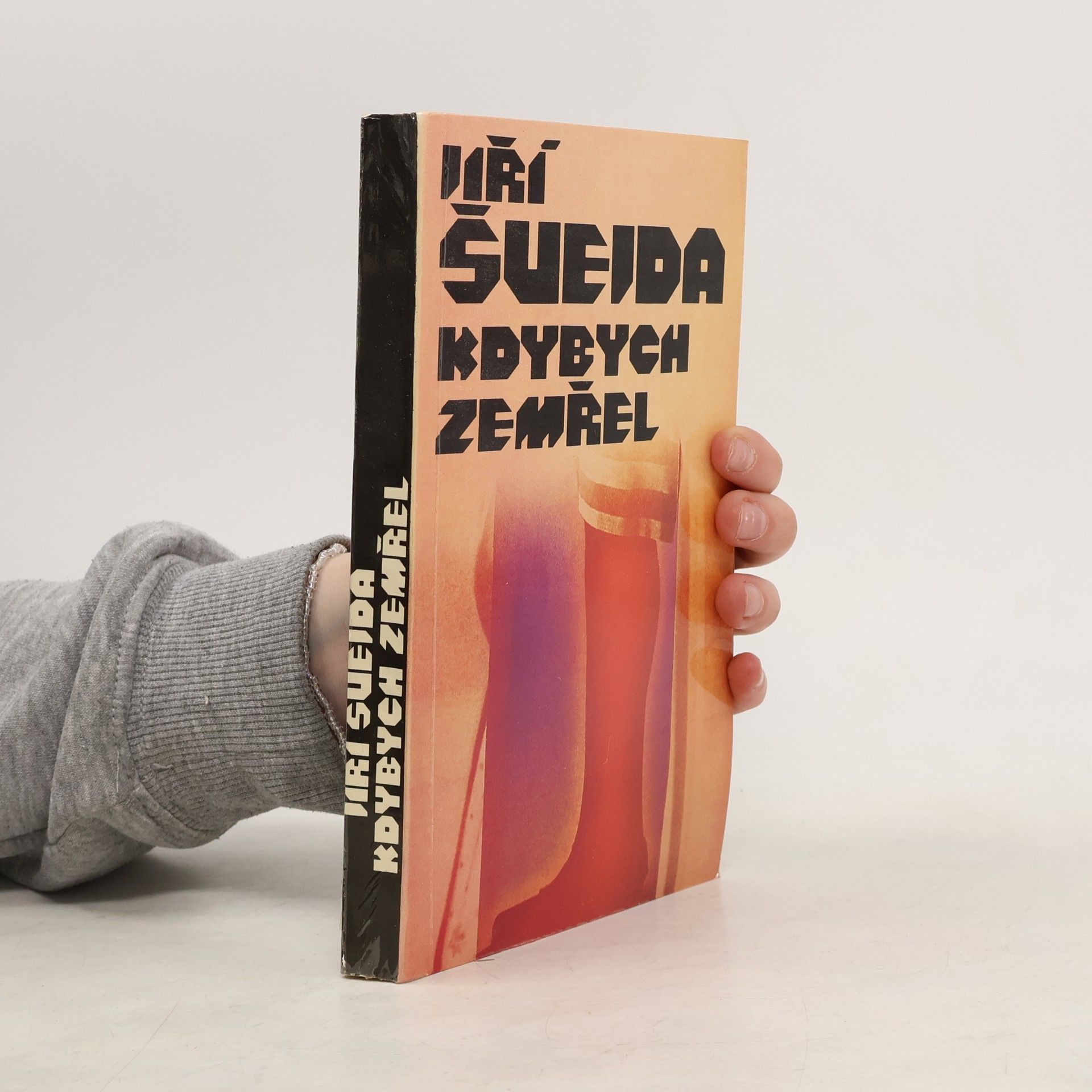 Jiří Švejda Kdybych zemřel