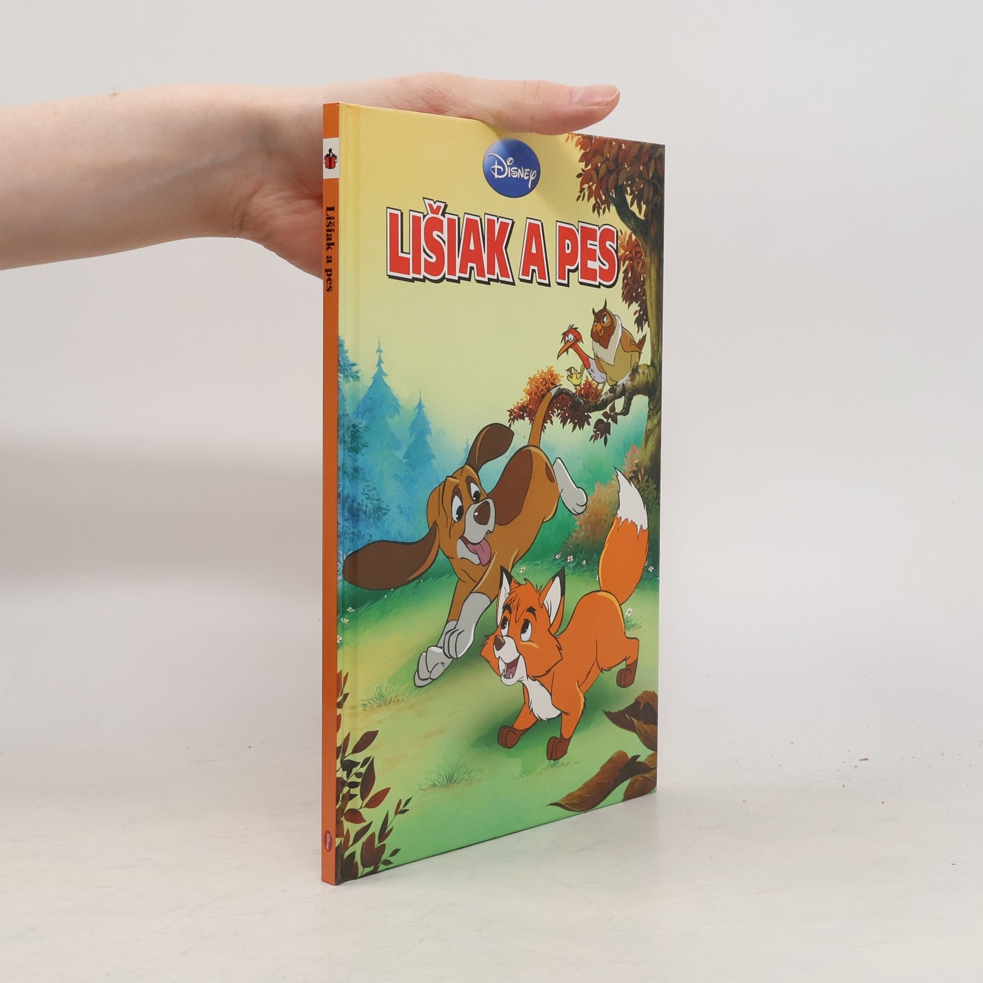 Autorenkollektiv Lišiak a pes