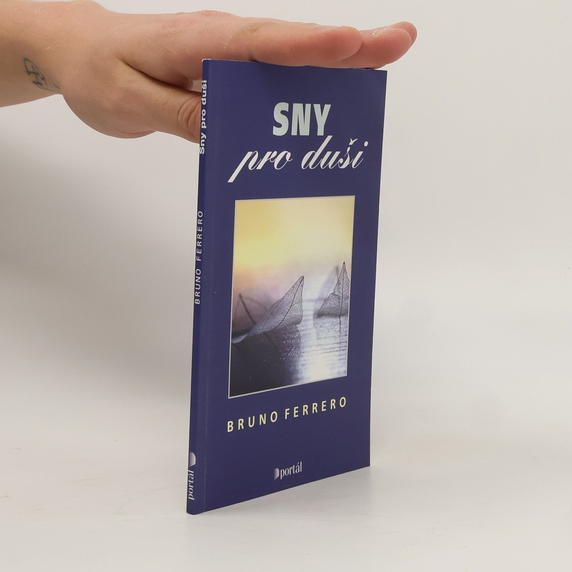 Bruno Ferrero Sny pro duši