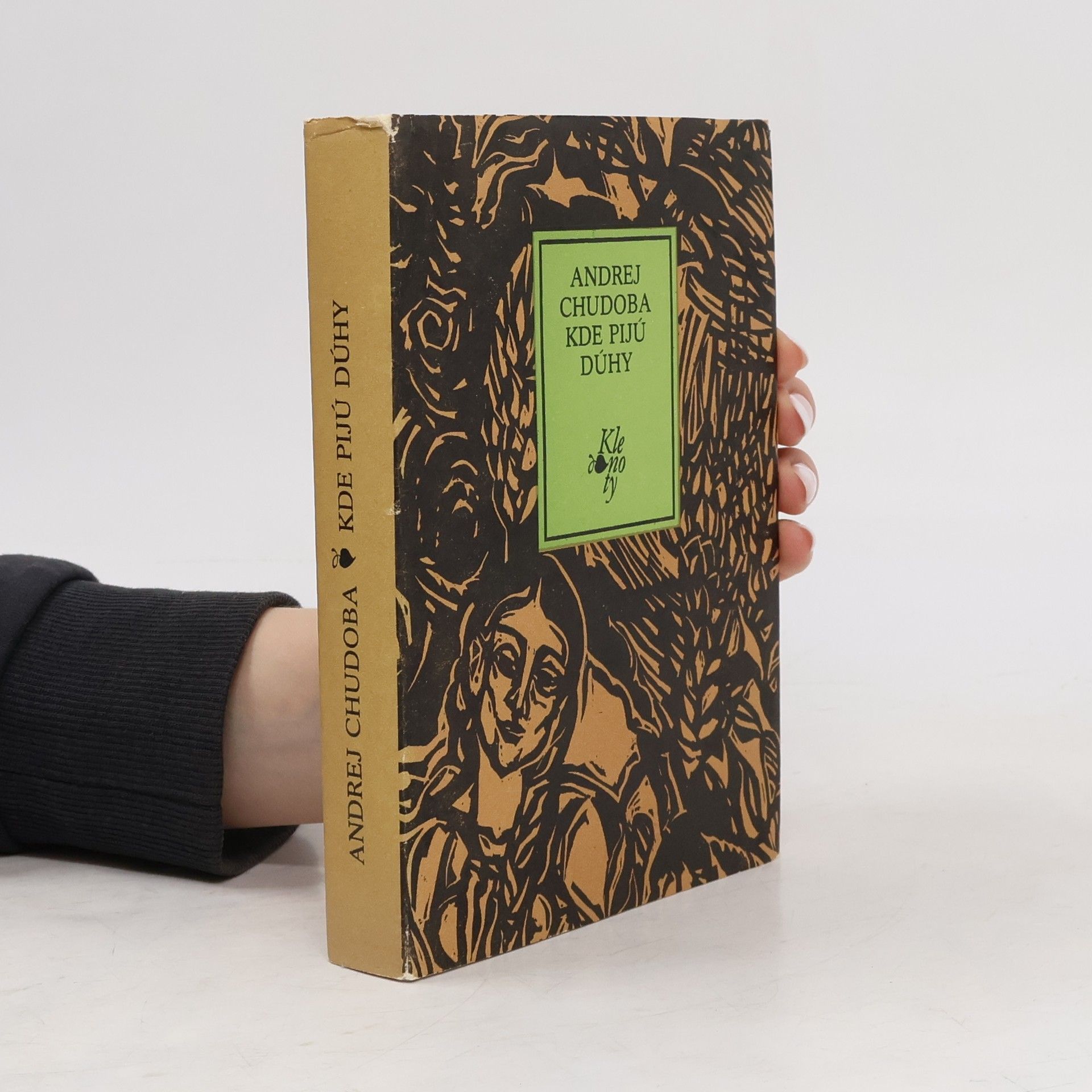 Andrej Chudoba Kde pijú dúhy