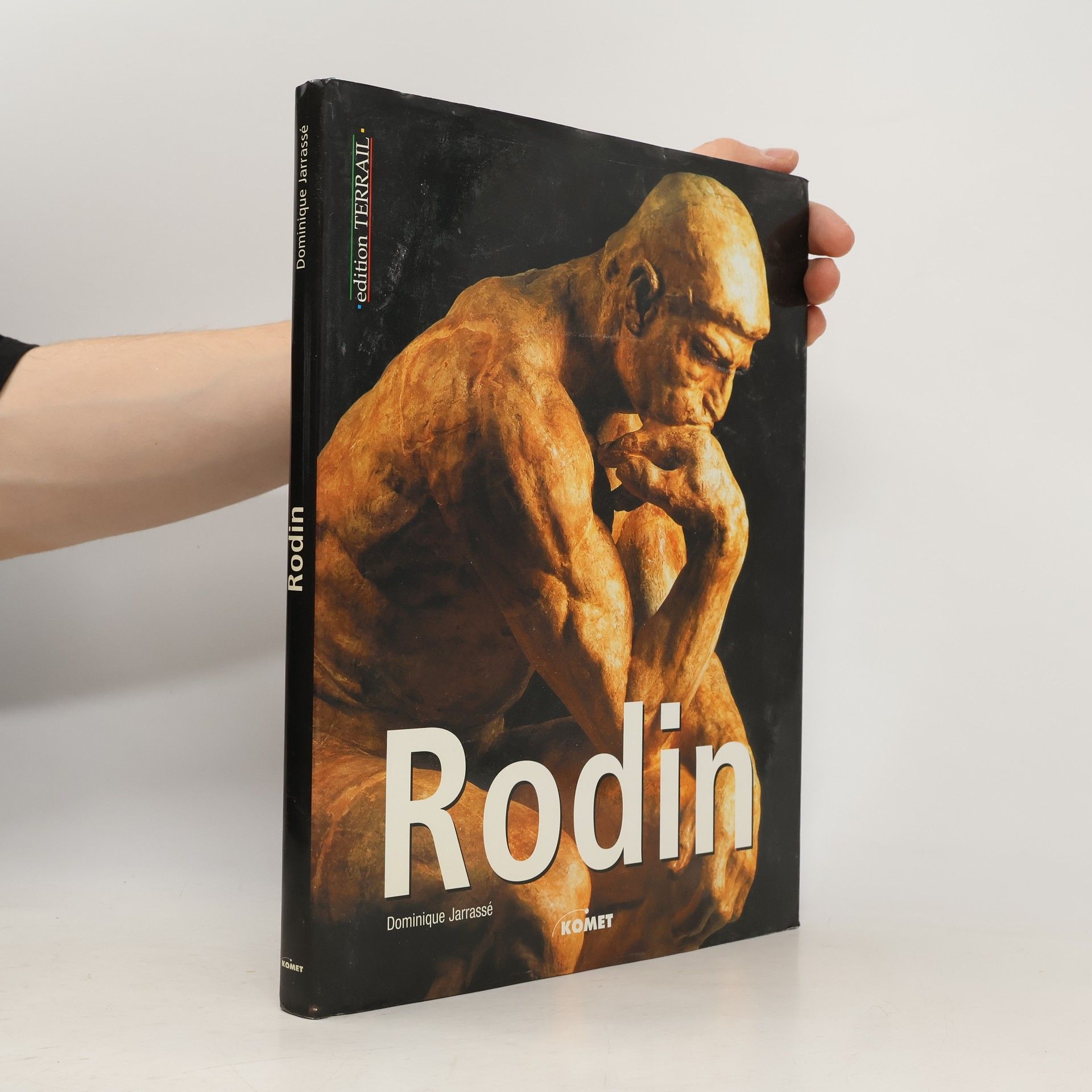 Dominique Jarrassé Rodin