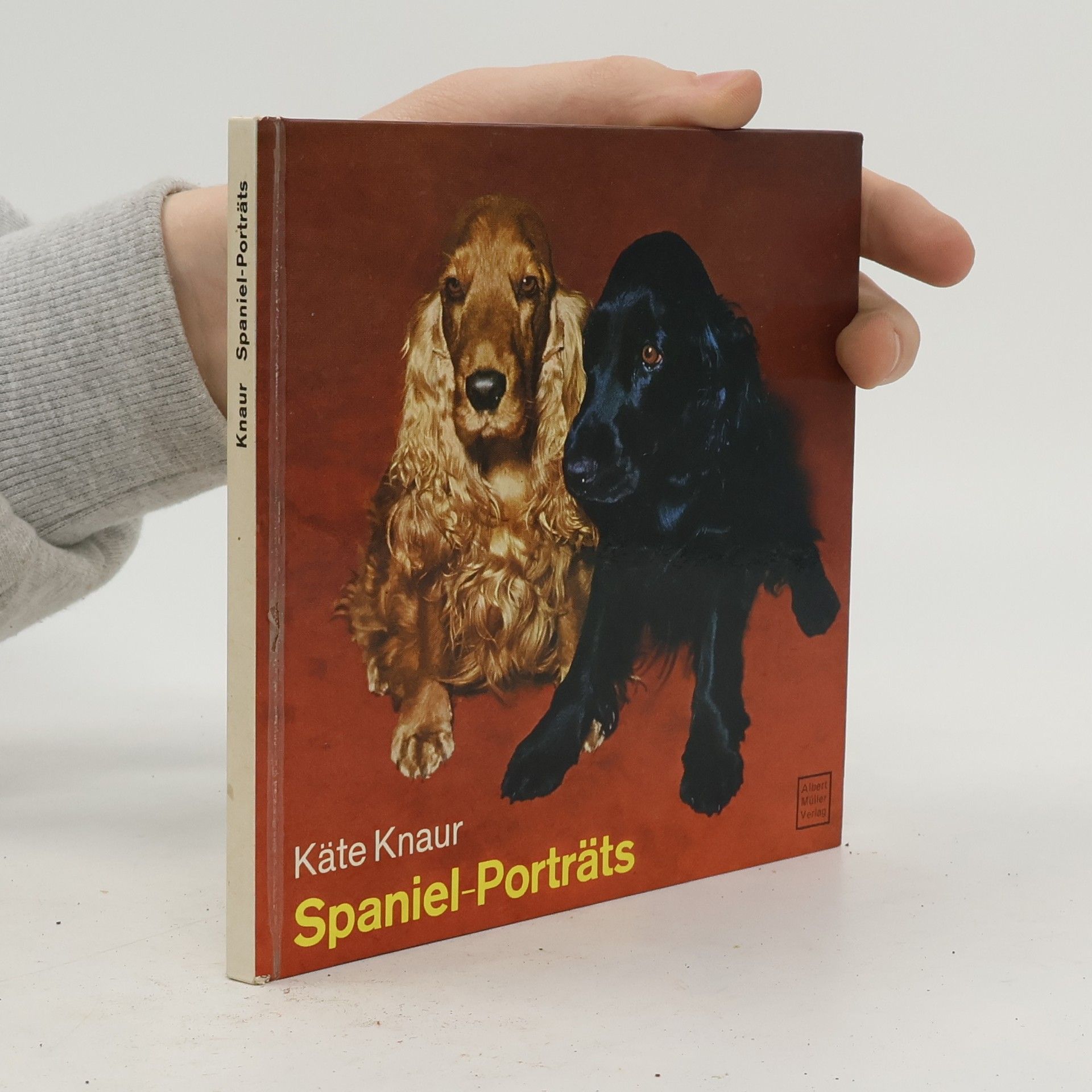 Spaniel-Porträts