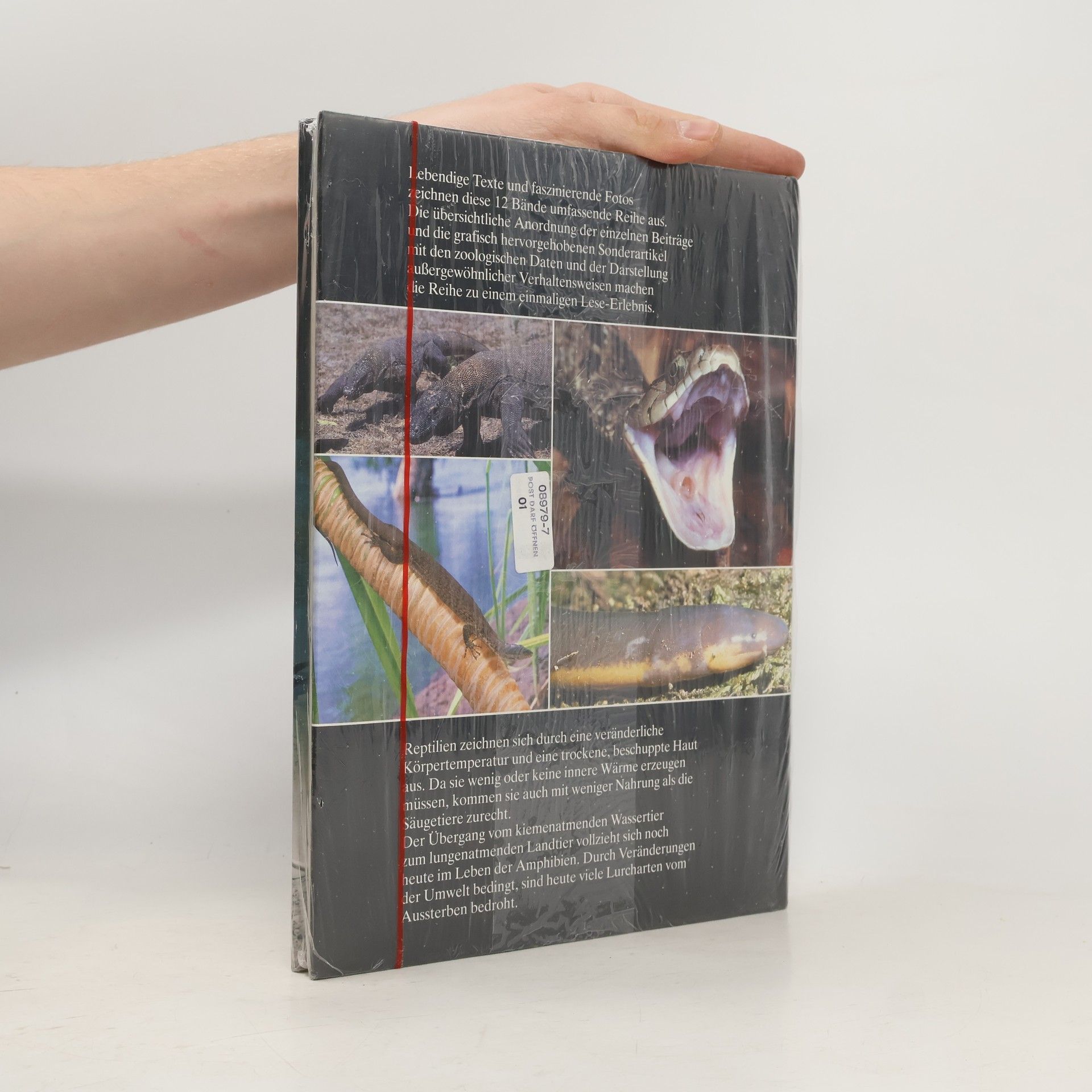 Collectif d'auteurs Die Tiere unserer Welt 8. Reptilien und Amphibien