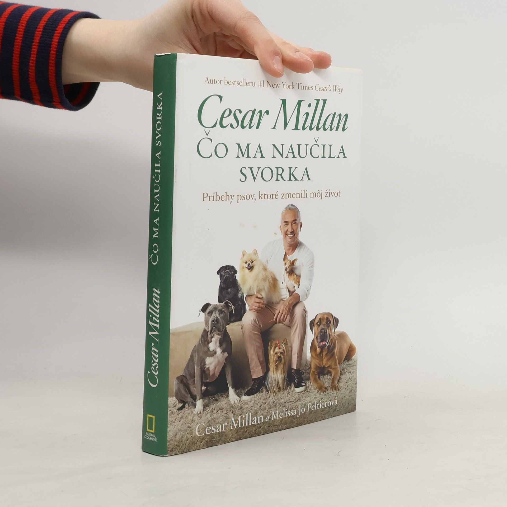 Cesar Millan Čo ma naučila svorka