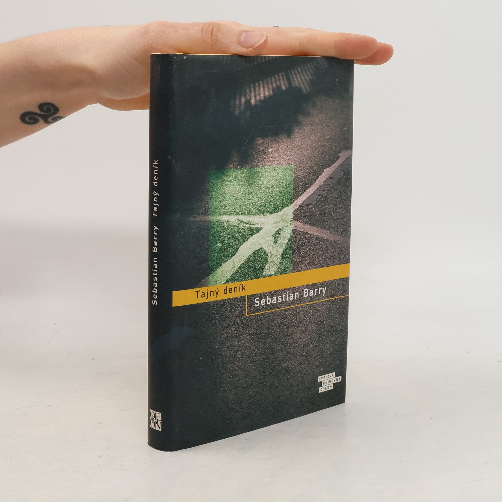 Sebastian Barry Tajný deník