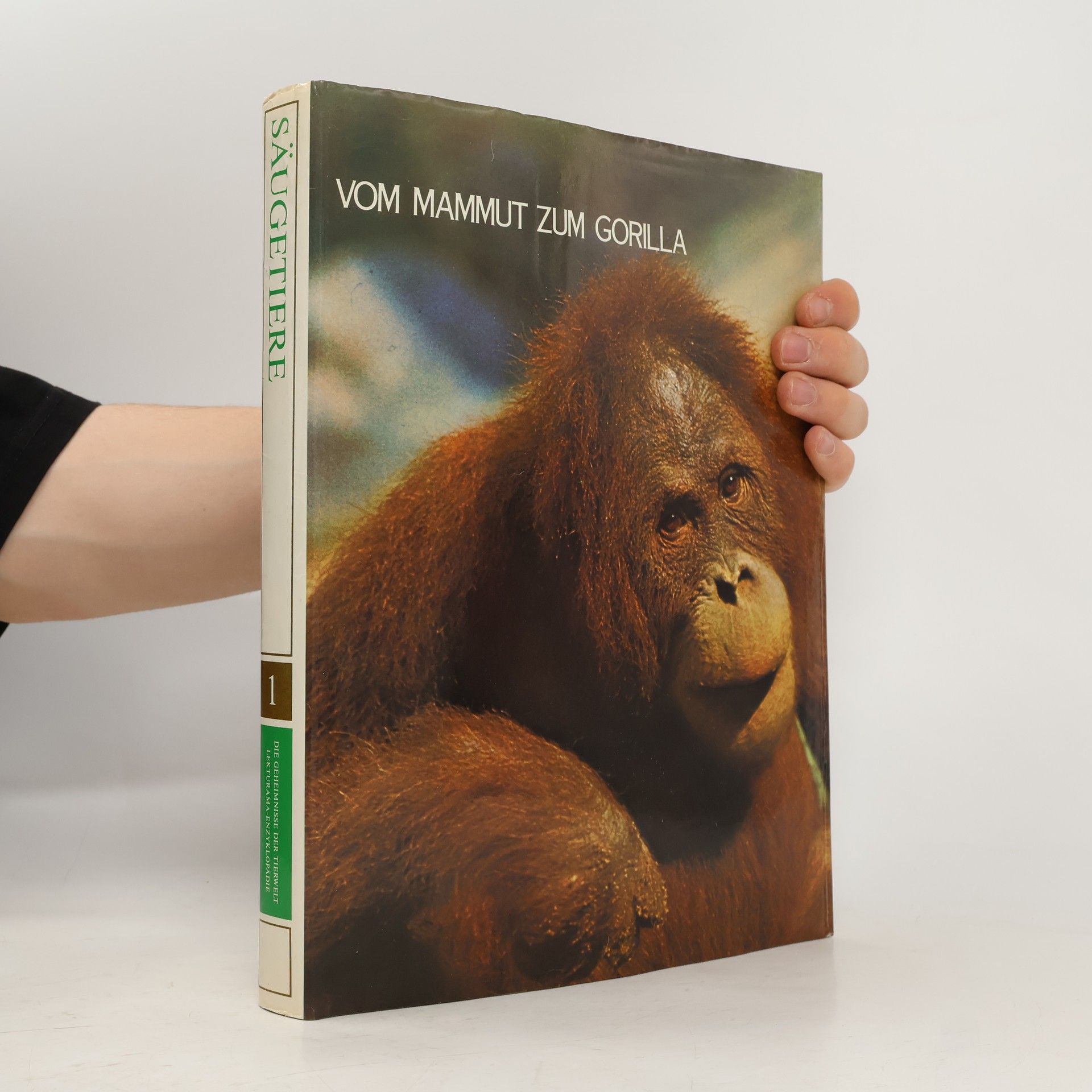 Kolektiv autorů Von Mammut zum Gorilla