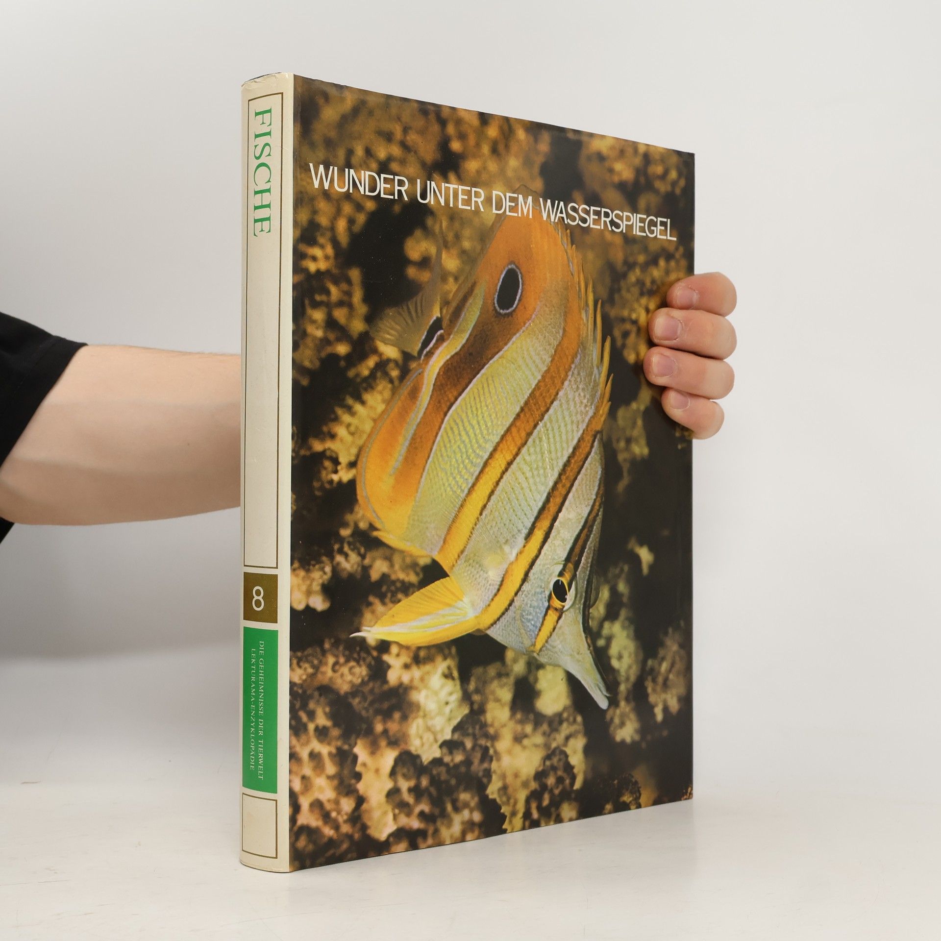 Autorenkollektiv Wunder unter dem Wasserspiegel 8. Fische