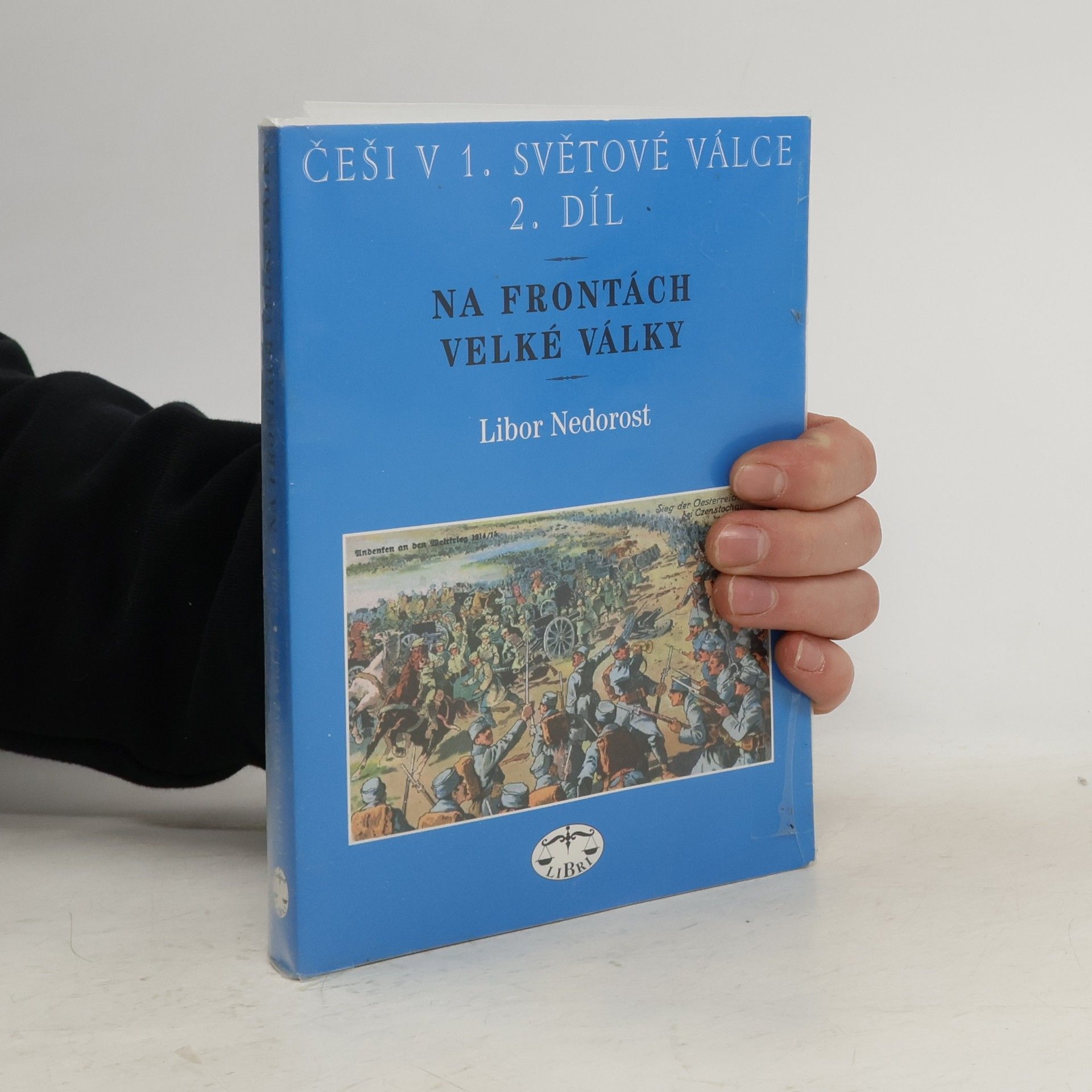 Češi v 1. světové válce. 2. díl, Na frontách Velké války