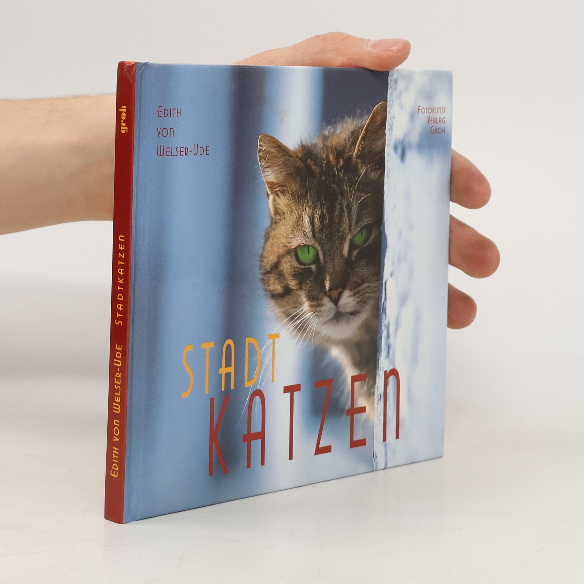 Edith von Welser Ude Stadtkatzen