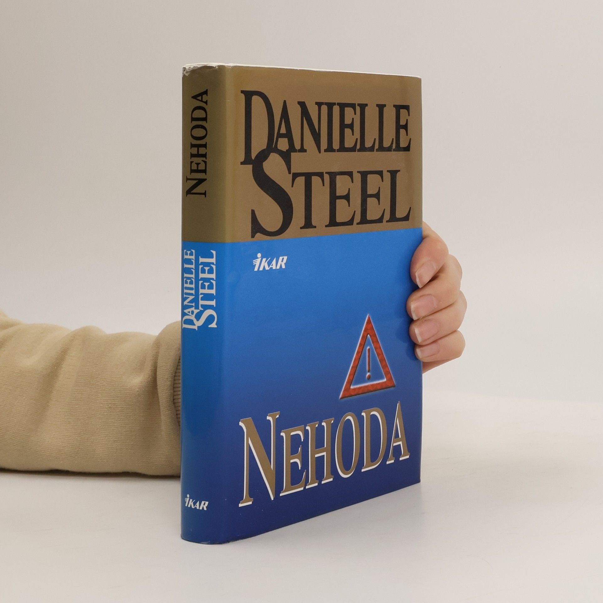 Danielle Steel Nehoda