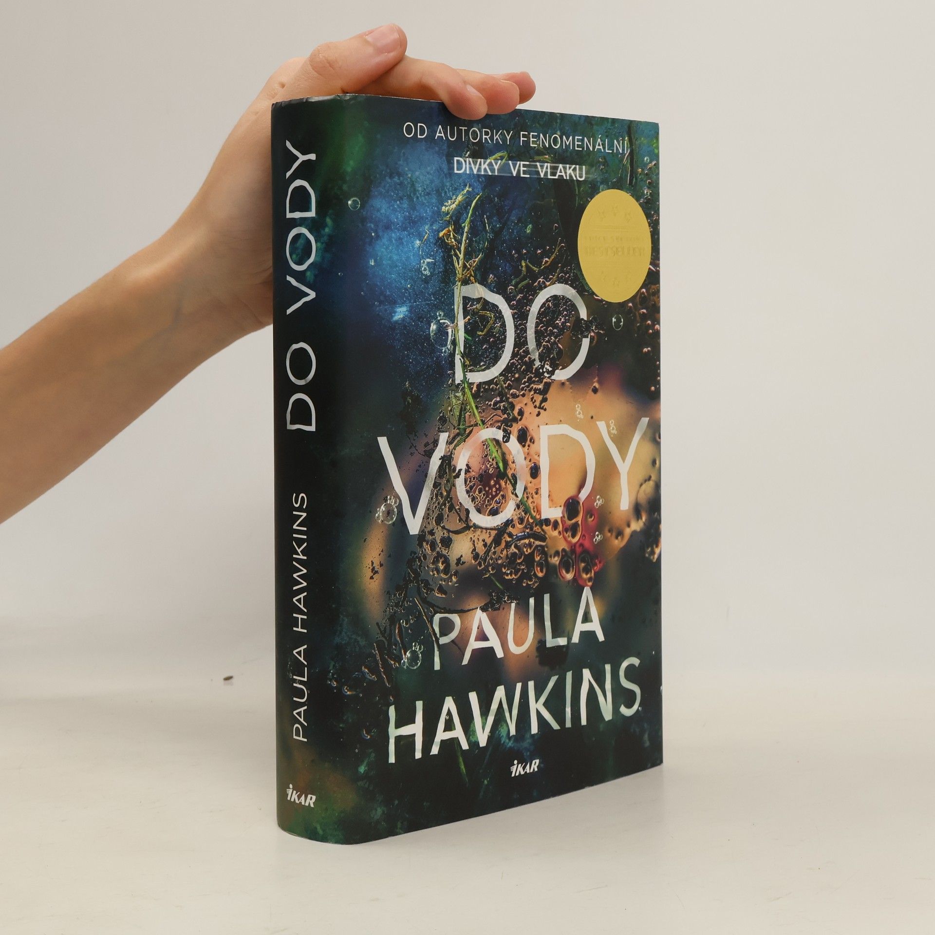 Paula Hawkins Do vody