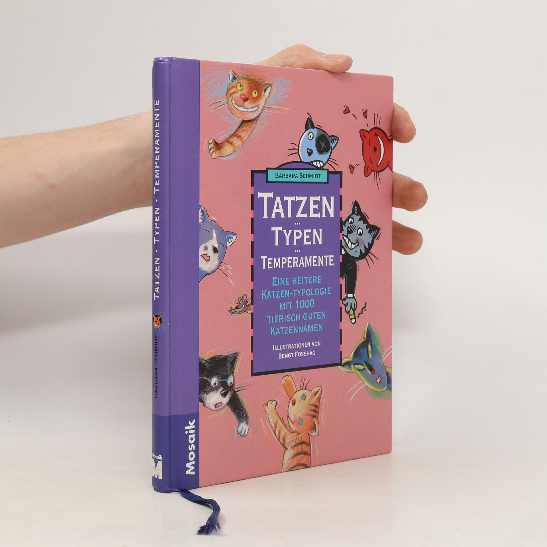 Barbara Schmidt-Rettig Tatzen, Typen, Temperamente : Eine heitere Katzen-Typologie mit 1000 tierisch guten Katzennamen