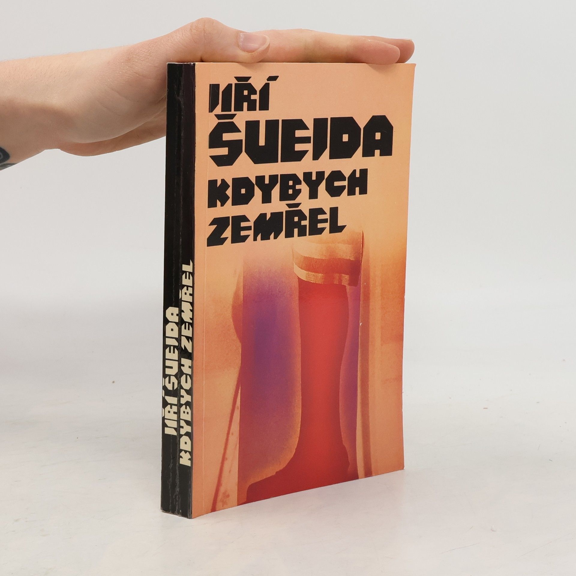 Jiří Švejda Kdybych zemřel