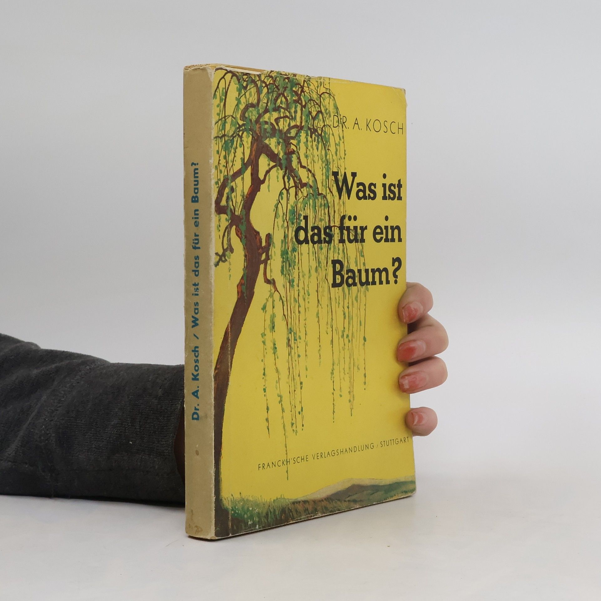 Alois Kosch Was ist das für ein Baum?