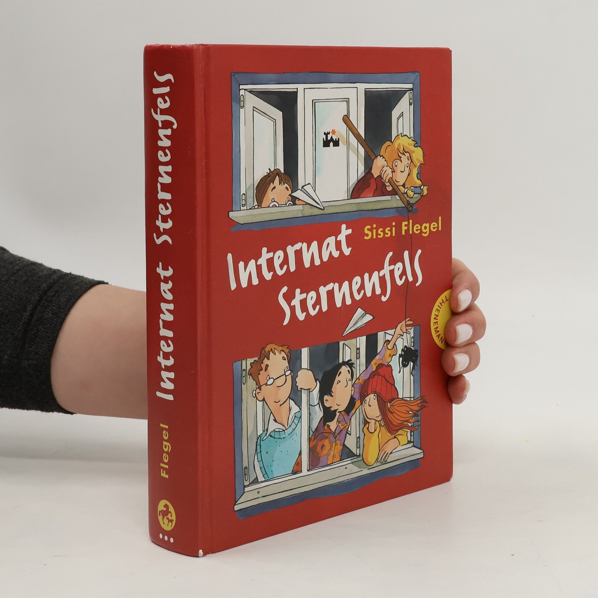 Sissi Flegel Internat Sternenfels. Wilde Hummeln; Die Superhexen