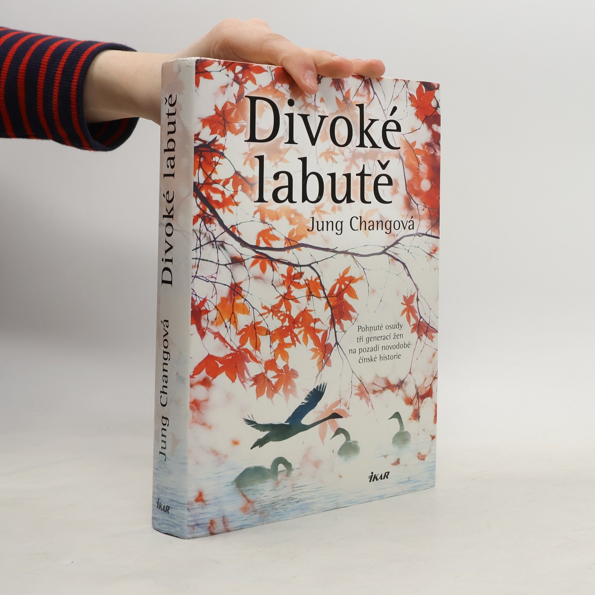 Jung Chang Divoké labutě