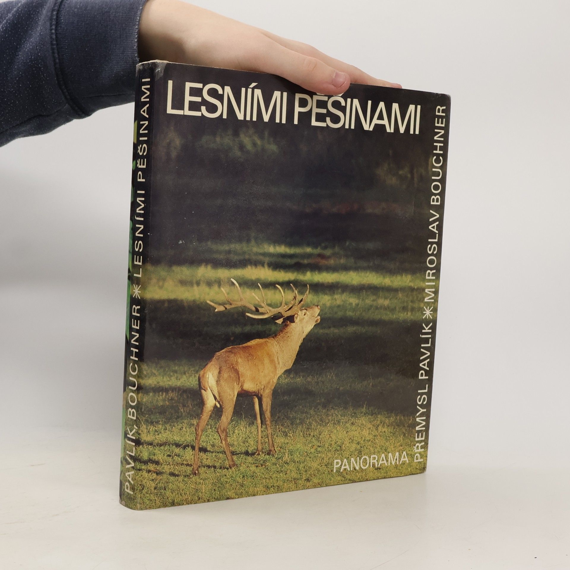 Přemysl Pavlík Lesními pěšinami