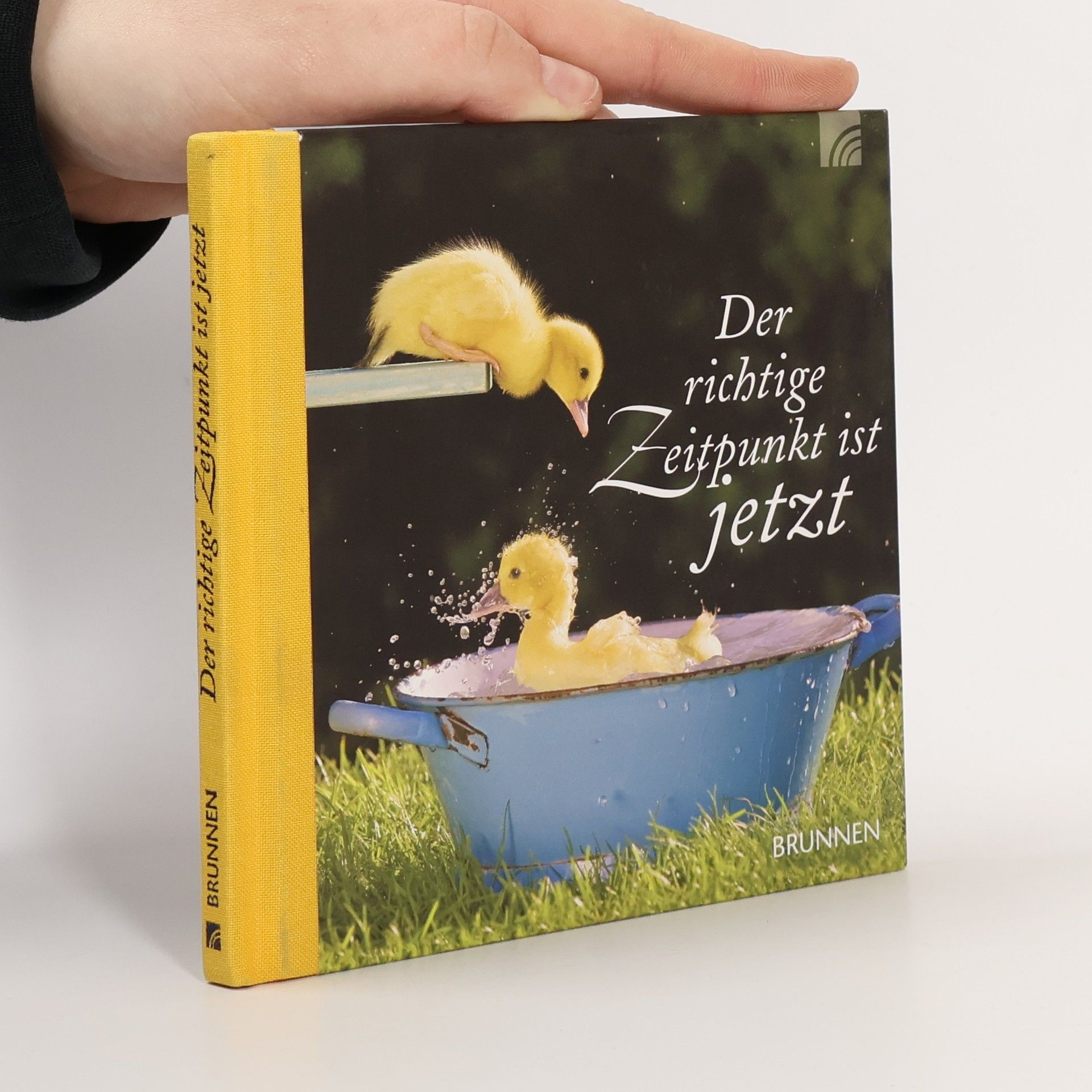 Irmtraut Frose Scheerová Der richtige Zeitpunkt ist jetzt