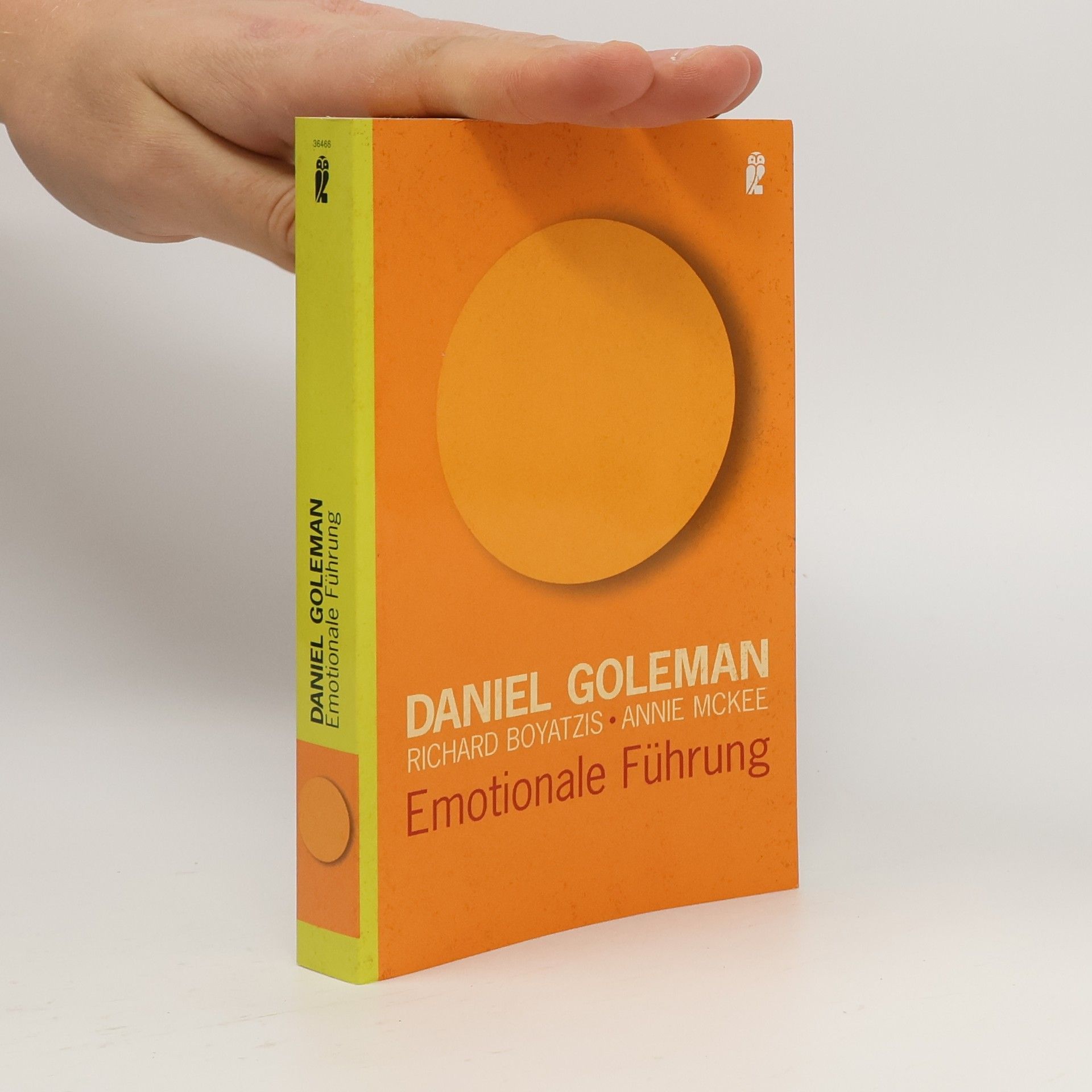 Daniel Goleman Emotionale Führung