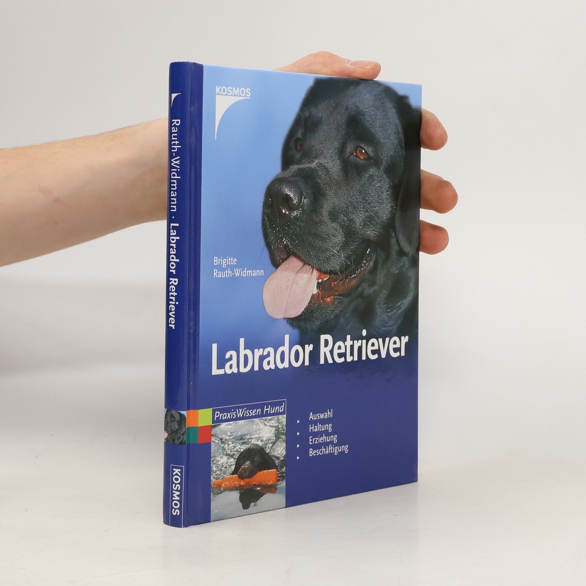 Brigitte Rauth-Widmann Labrador