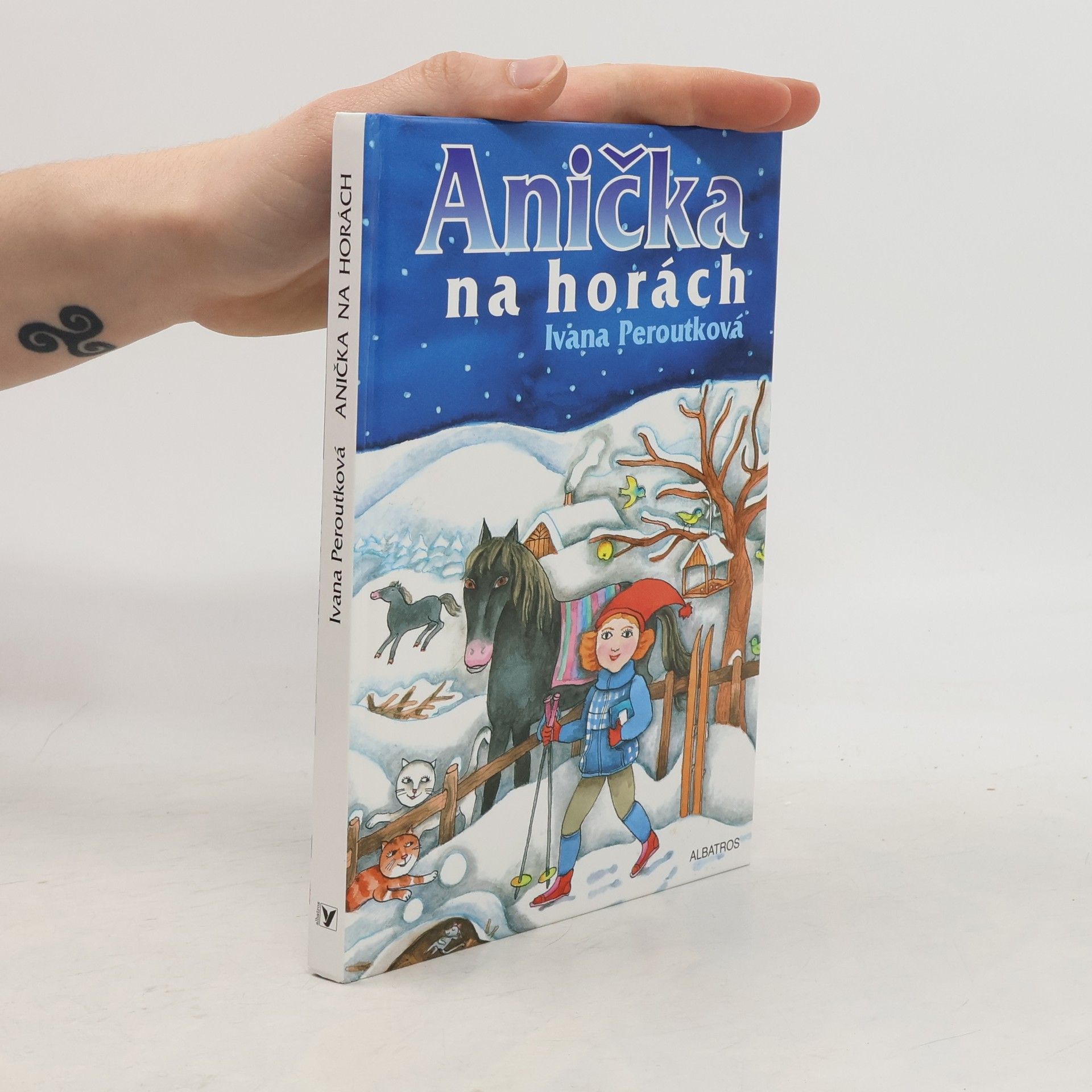 Eva Mastníková Anička na horách