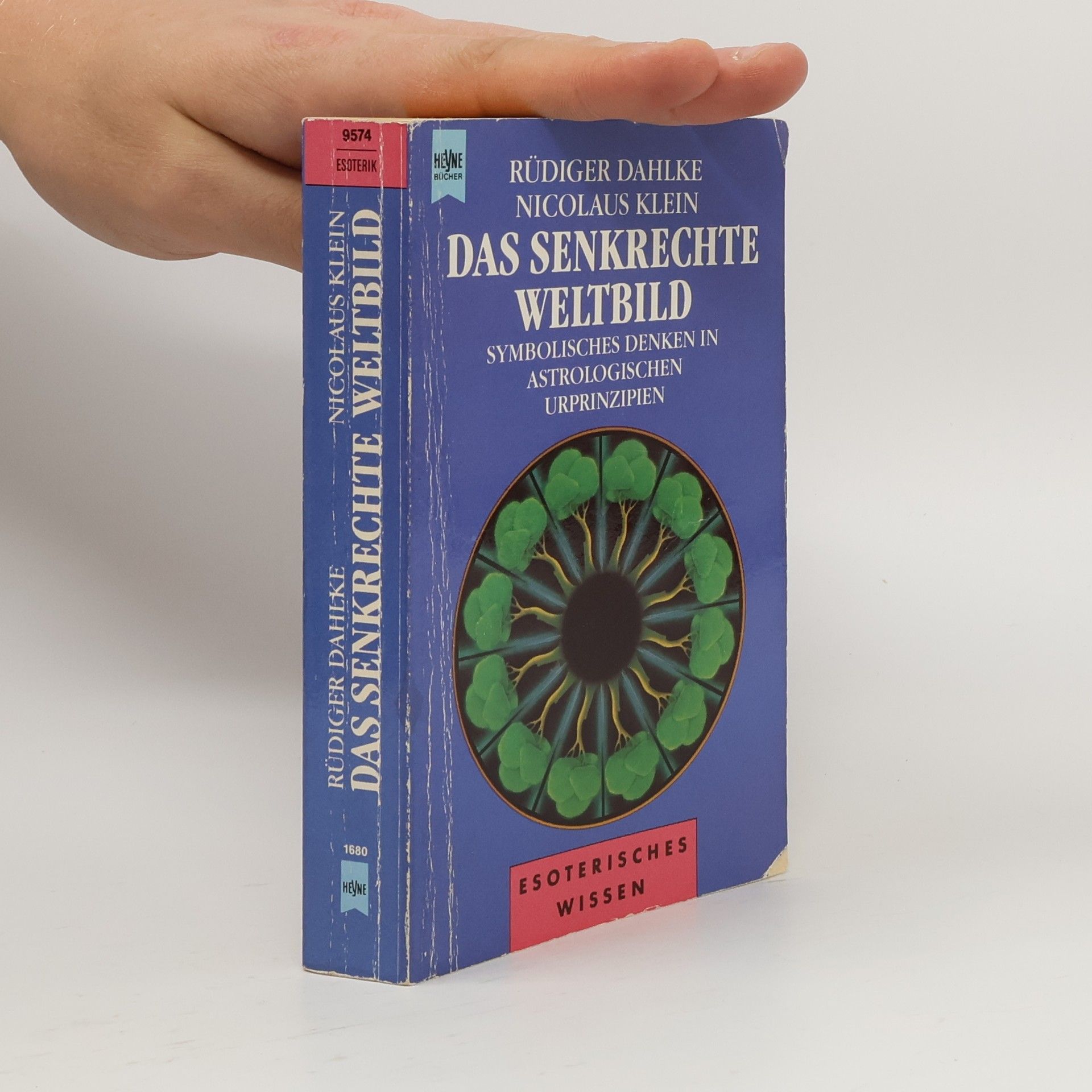 Nicolaus Klein Das senkrechte Weltbild