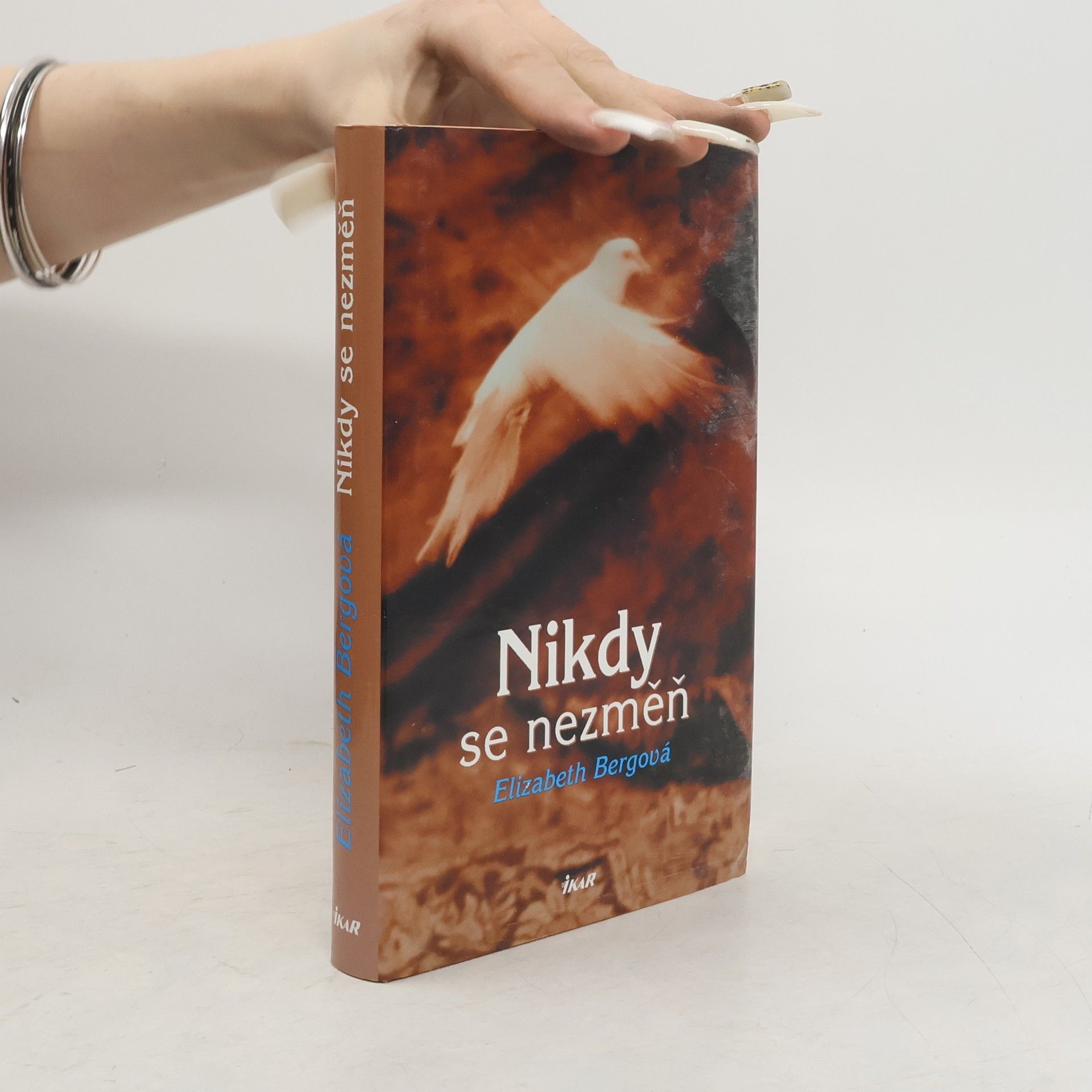 Elizabeth Berg Nikdy se nezměň