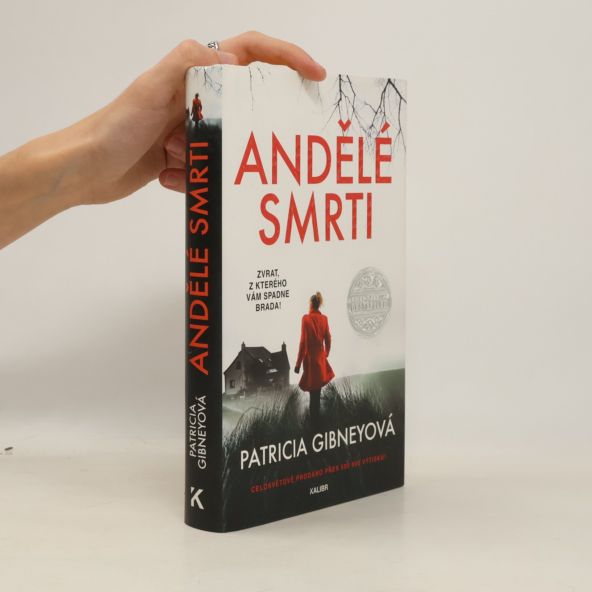 Patricia Gibney Andělé smrti