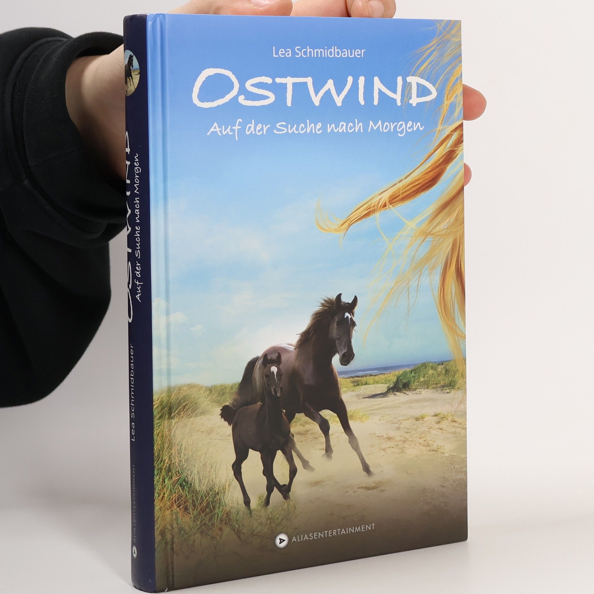 Lea Schmidbauer Ostwind - auf der Suche nach Morgen