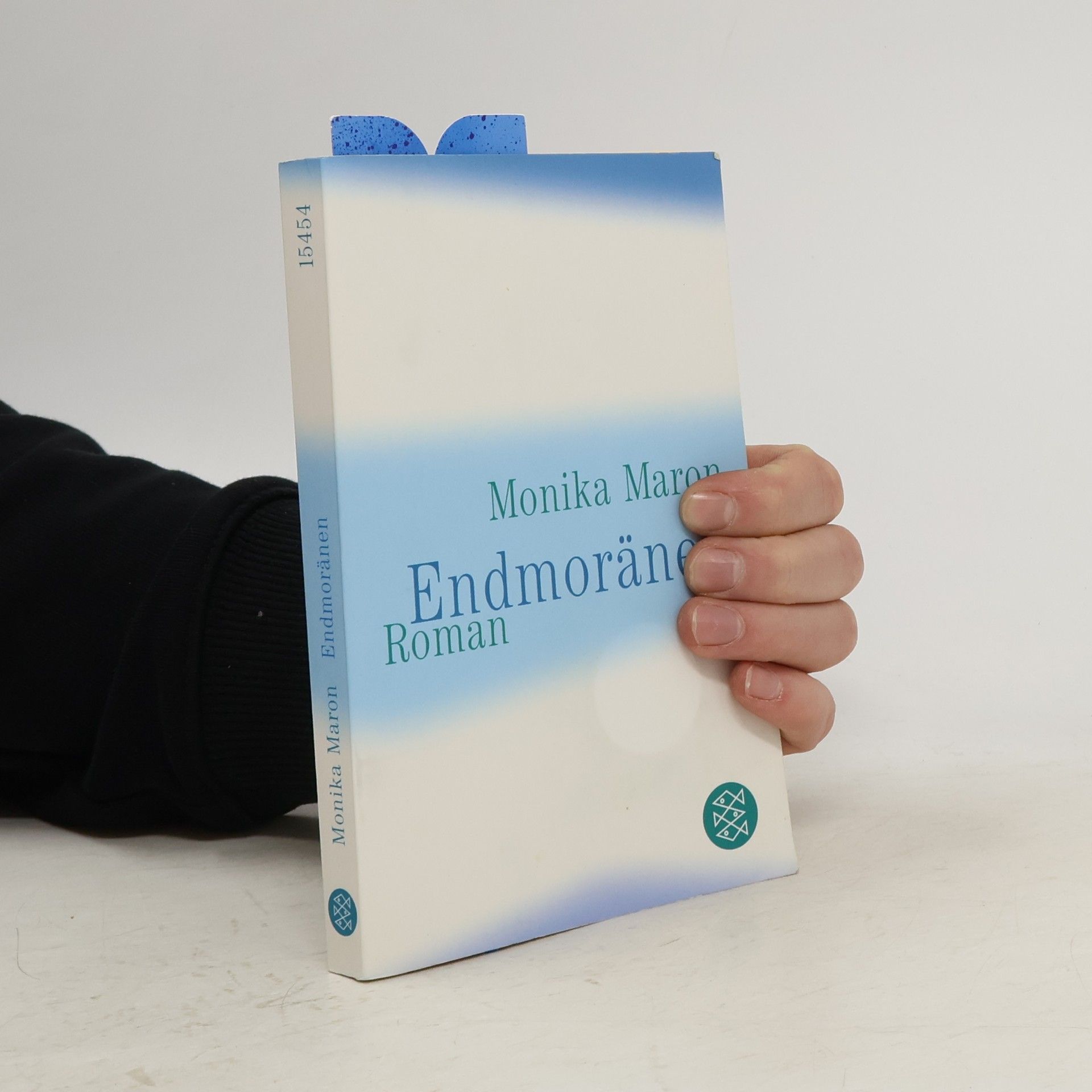 Monika Maron Endmoränen